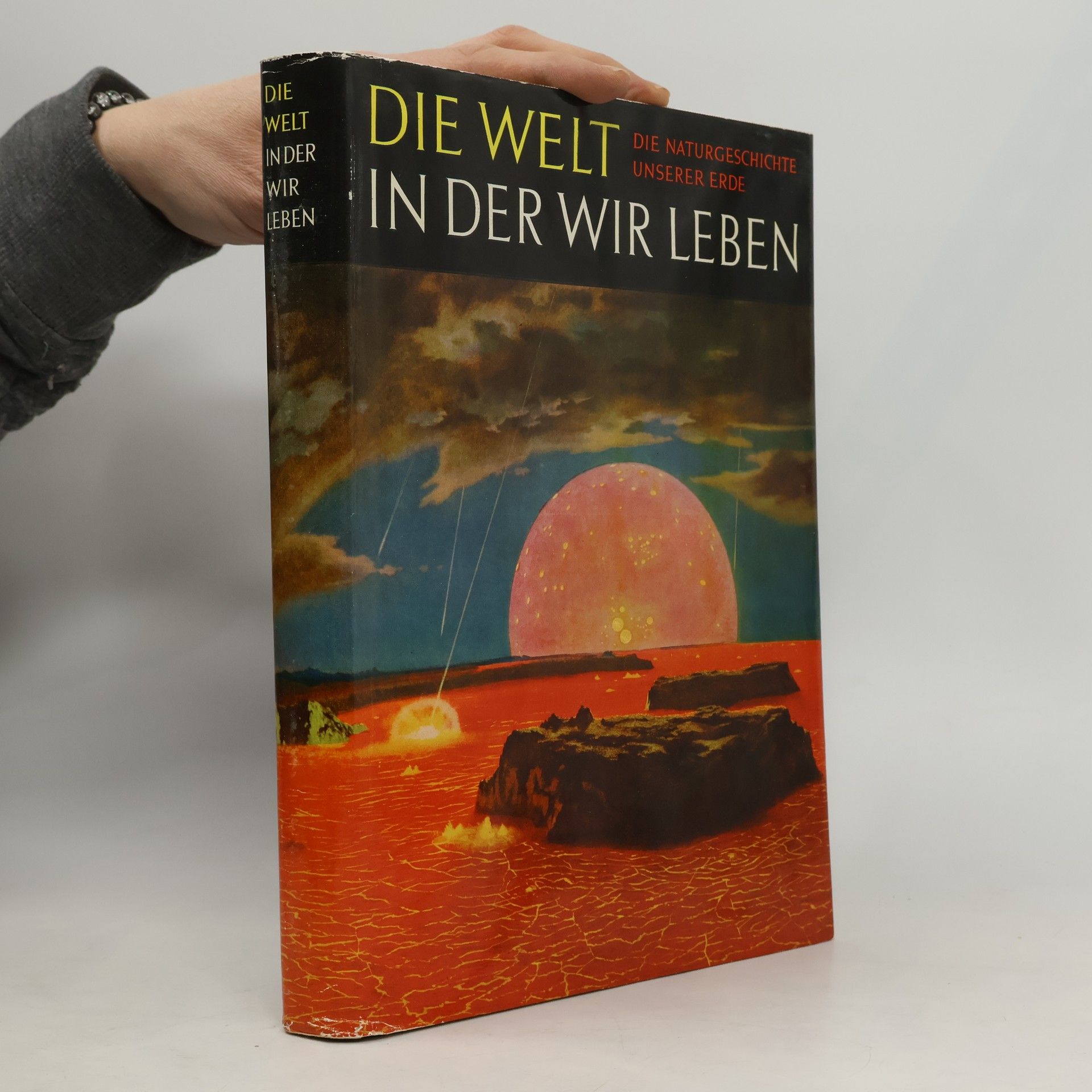 Various authors Die Welt in der wir leben