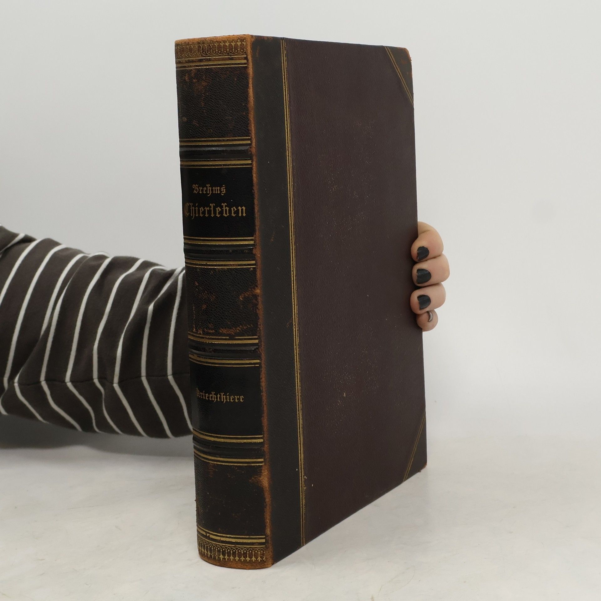 Alfred Edmund Brehm Die Kriechthiere und Lurche