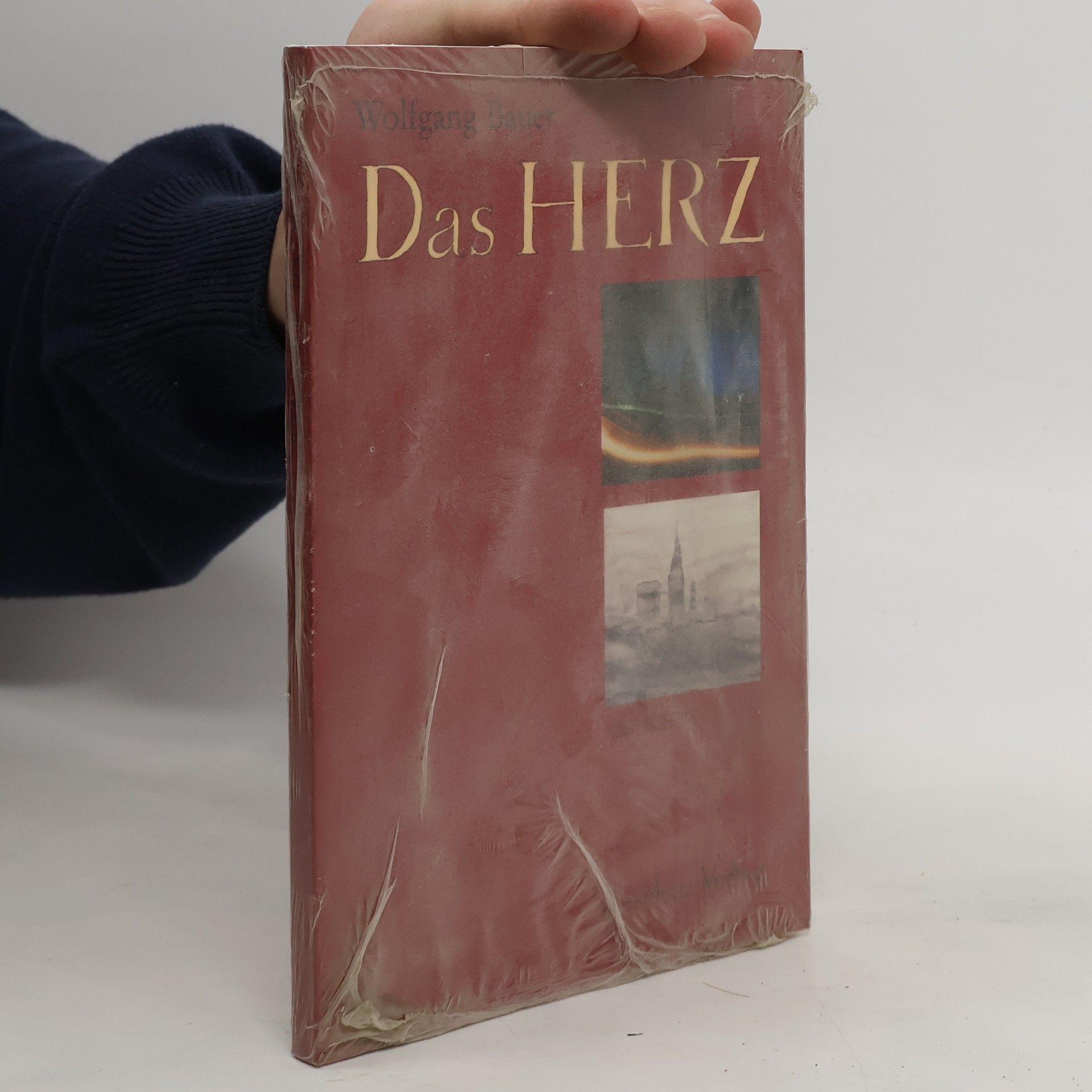 Wolfgang Bauer Das Herz Gedichte