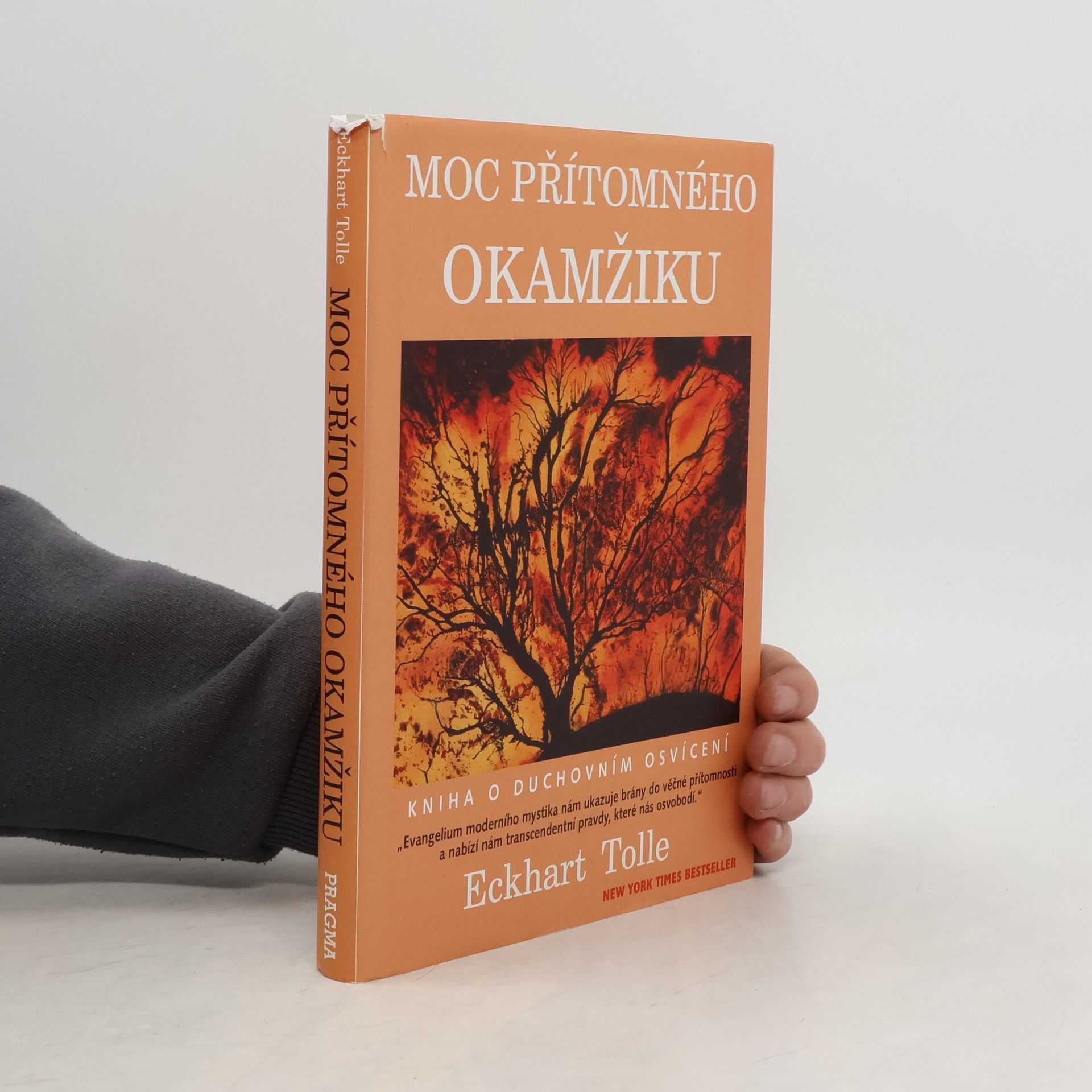 Eckhart Tolle Moc přítomného okamžiku