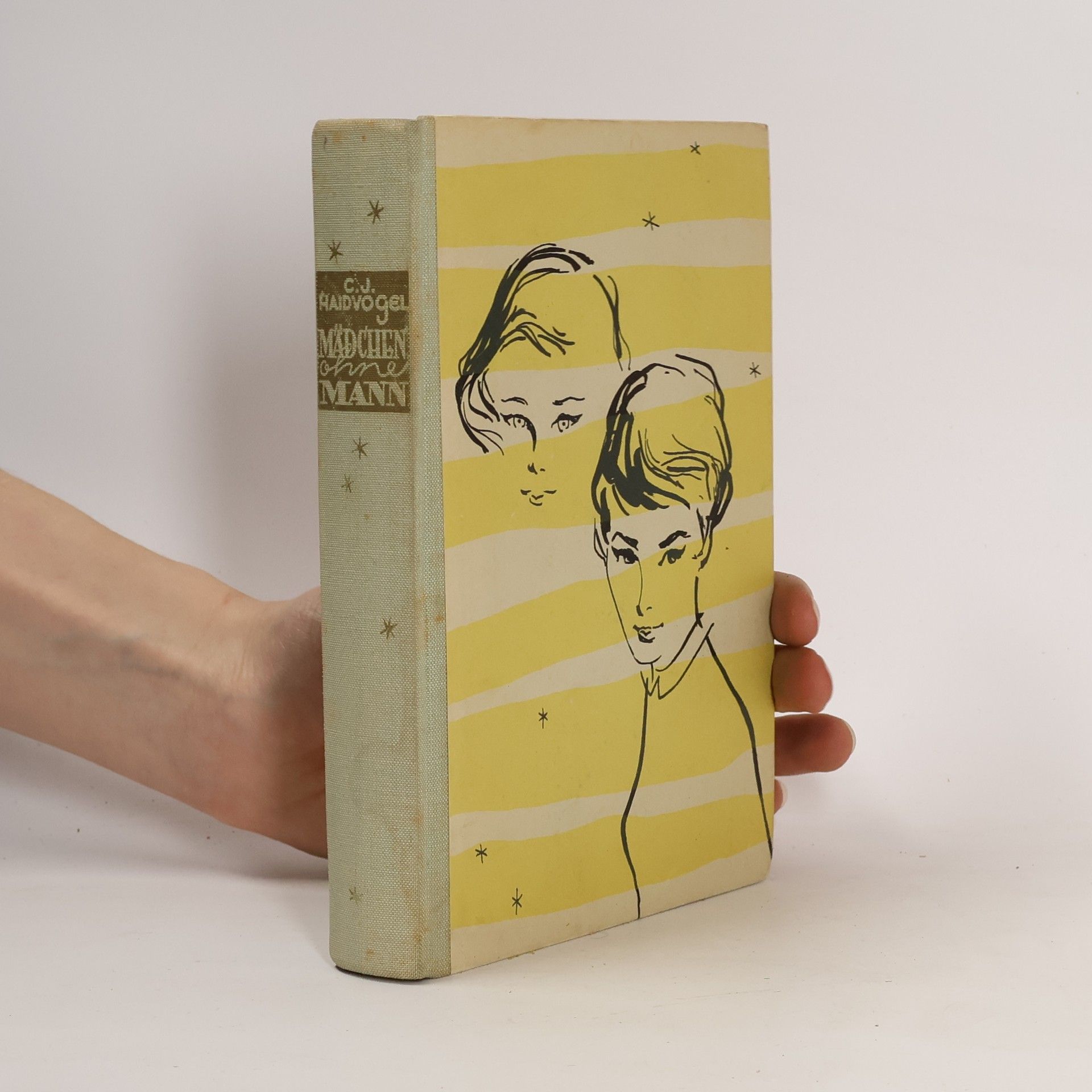 C. J. Haidvogel Mädchen ohne Mann