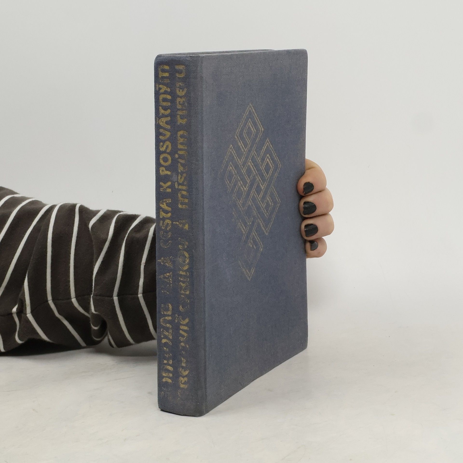 Gonbožab Cebekovič Cybikov Cesta k posvátným místům Tibetu