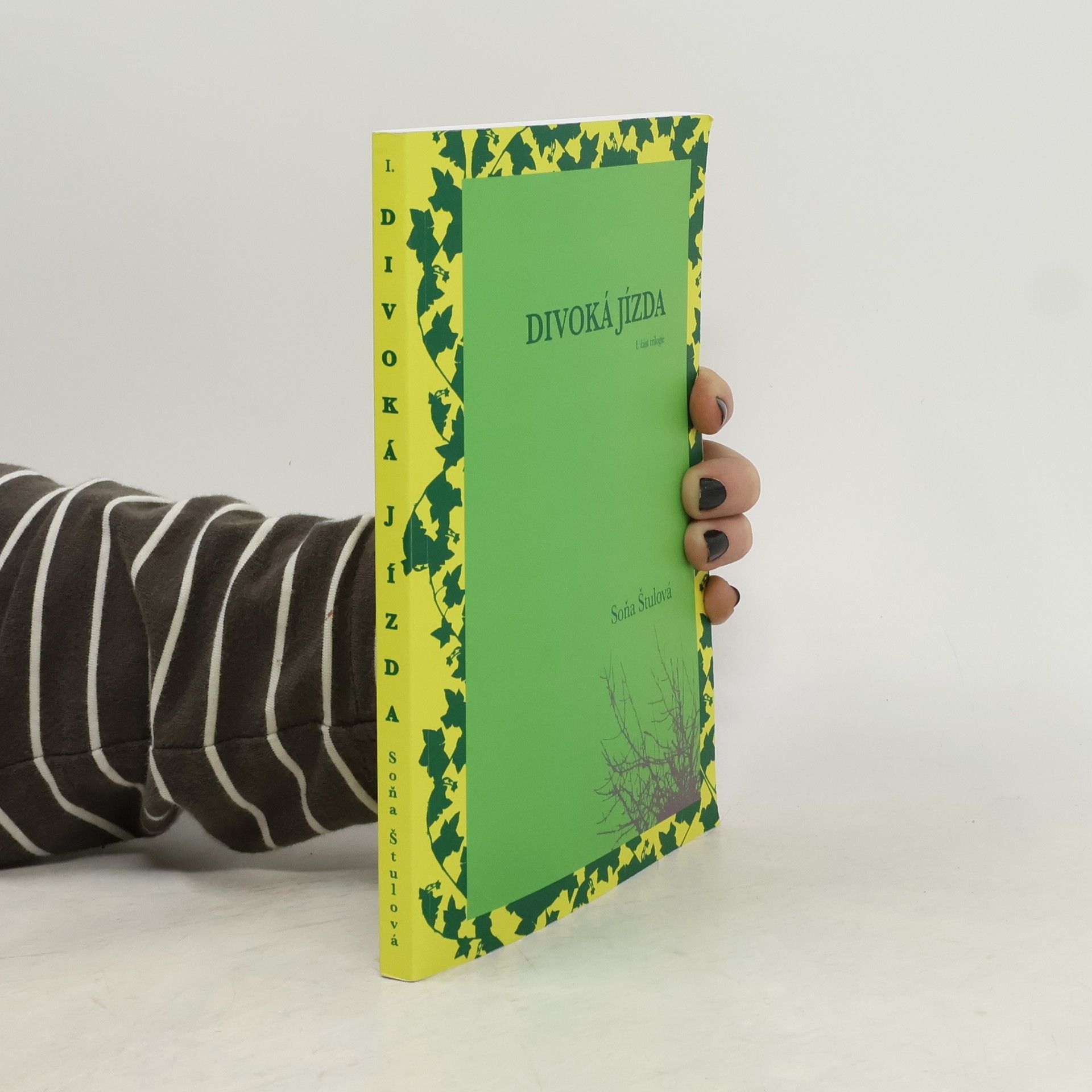 Soňa Štulová Divoká jízda 1