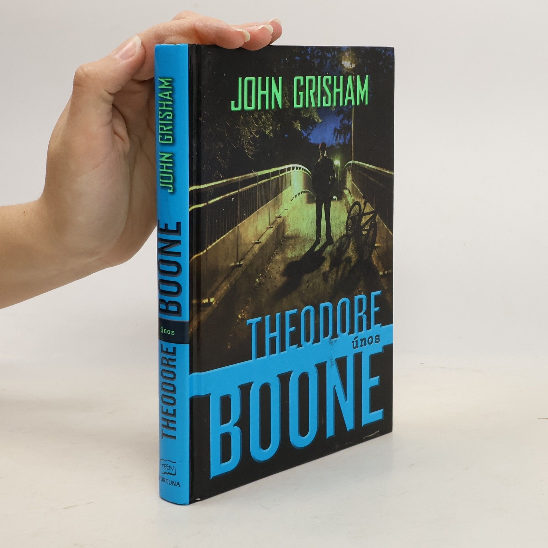 John Grisham Theodore Boone. Únos