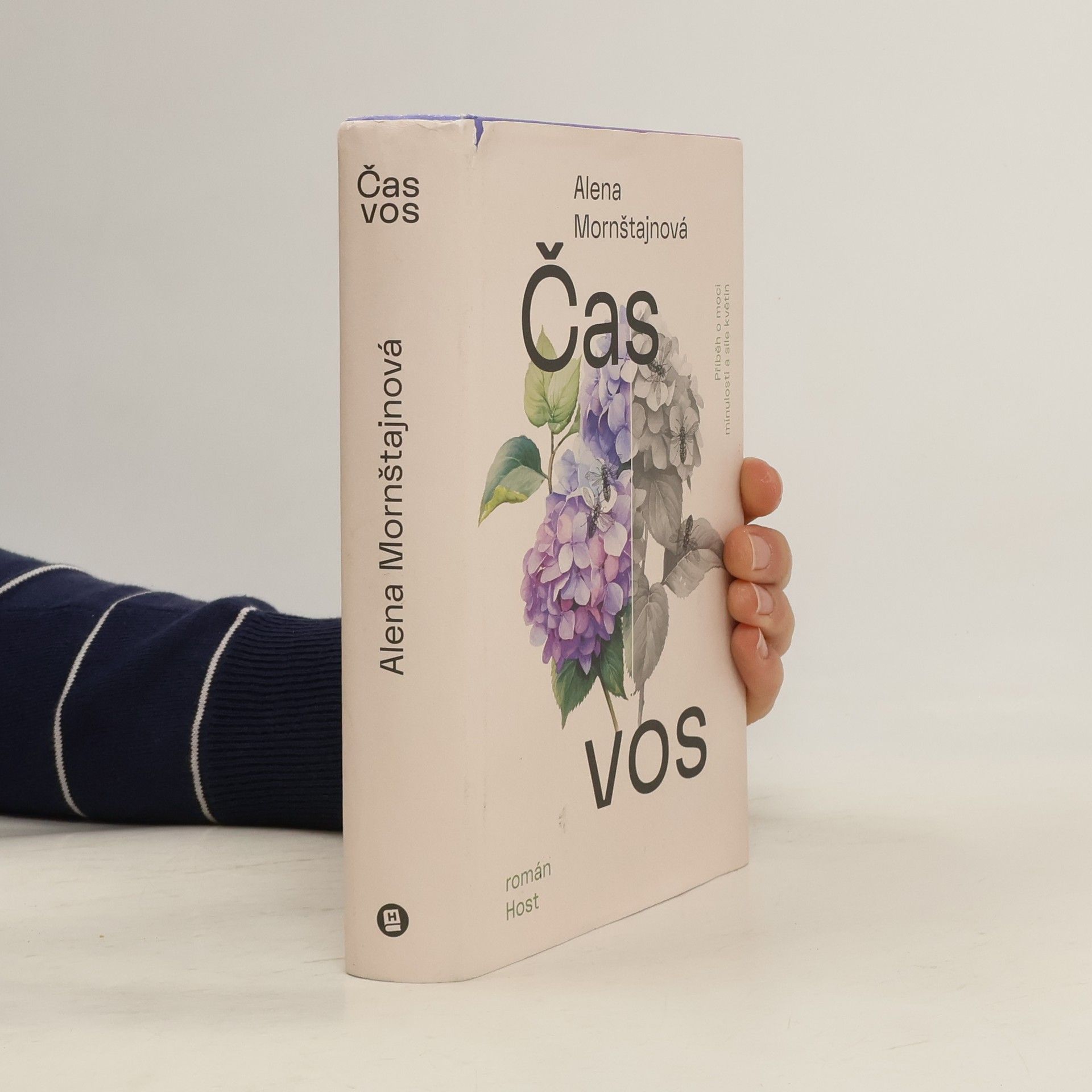 Alena Mornštajnová Čas vos