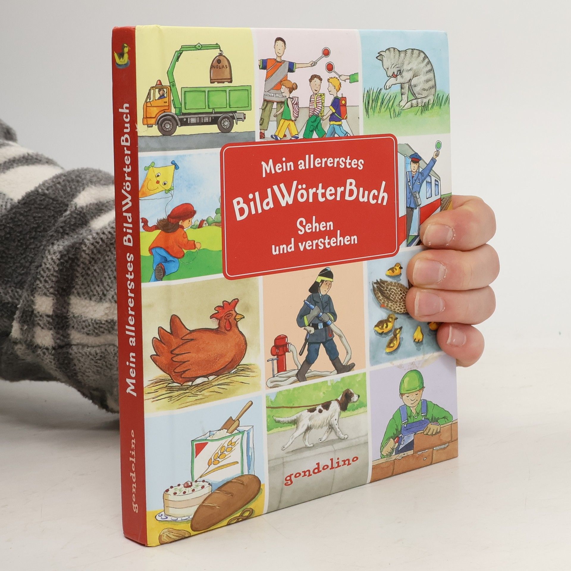 Christine Bietz Mein allererstes BildWörterBuch - sehen und verstehen