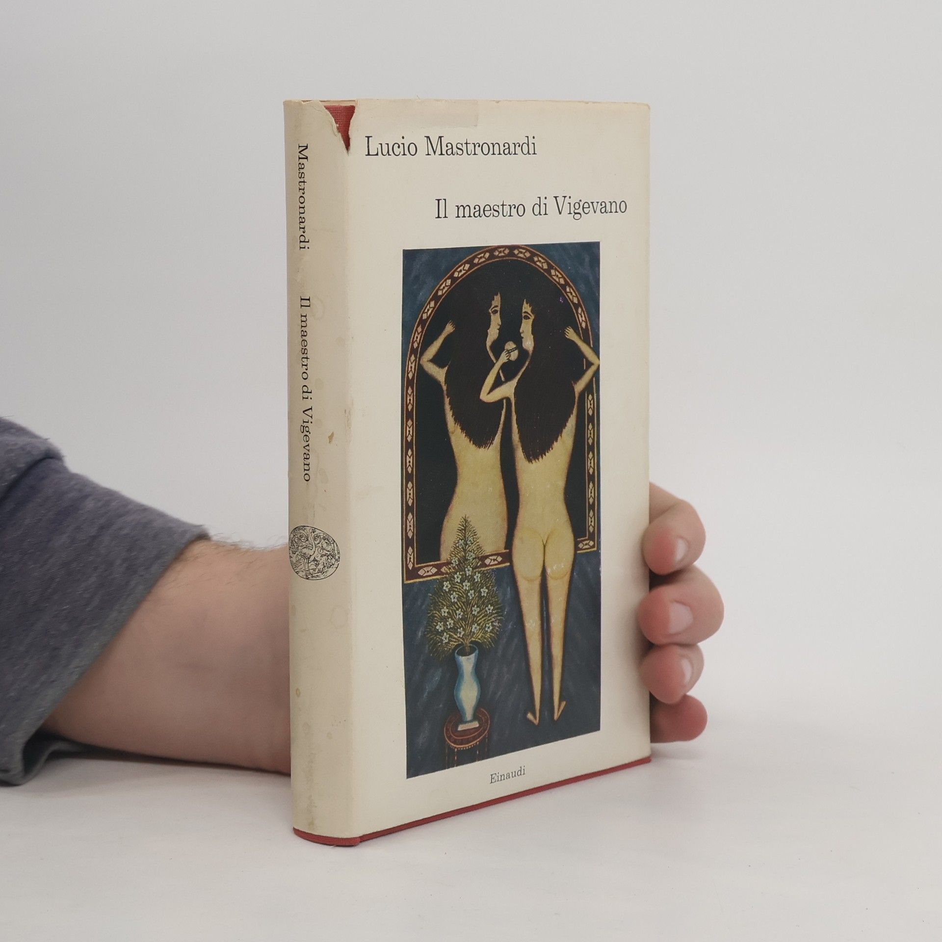 Lucio Mastronardi Il maestro di Vigevano