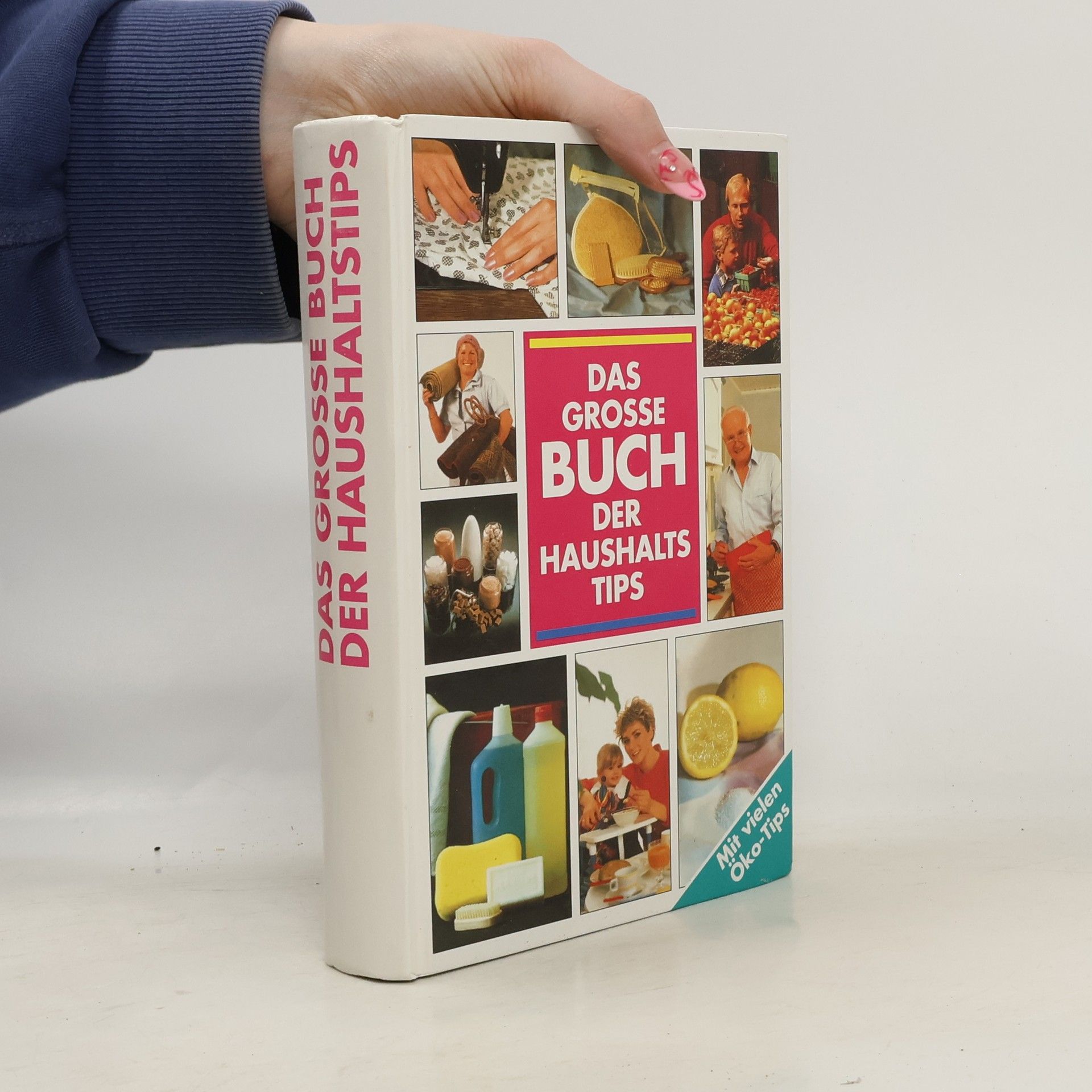 Collectif d'auteurs Das Grosse Buch der Haushaltstips