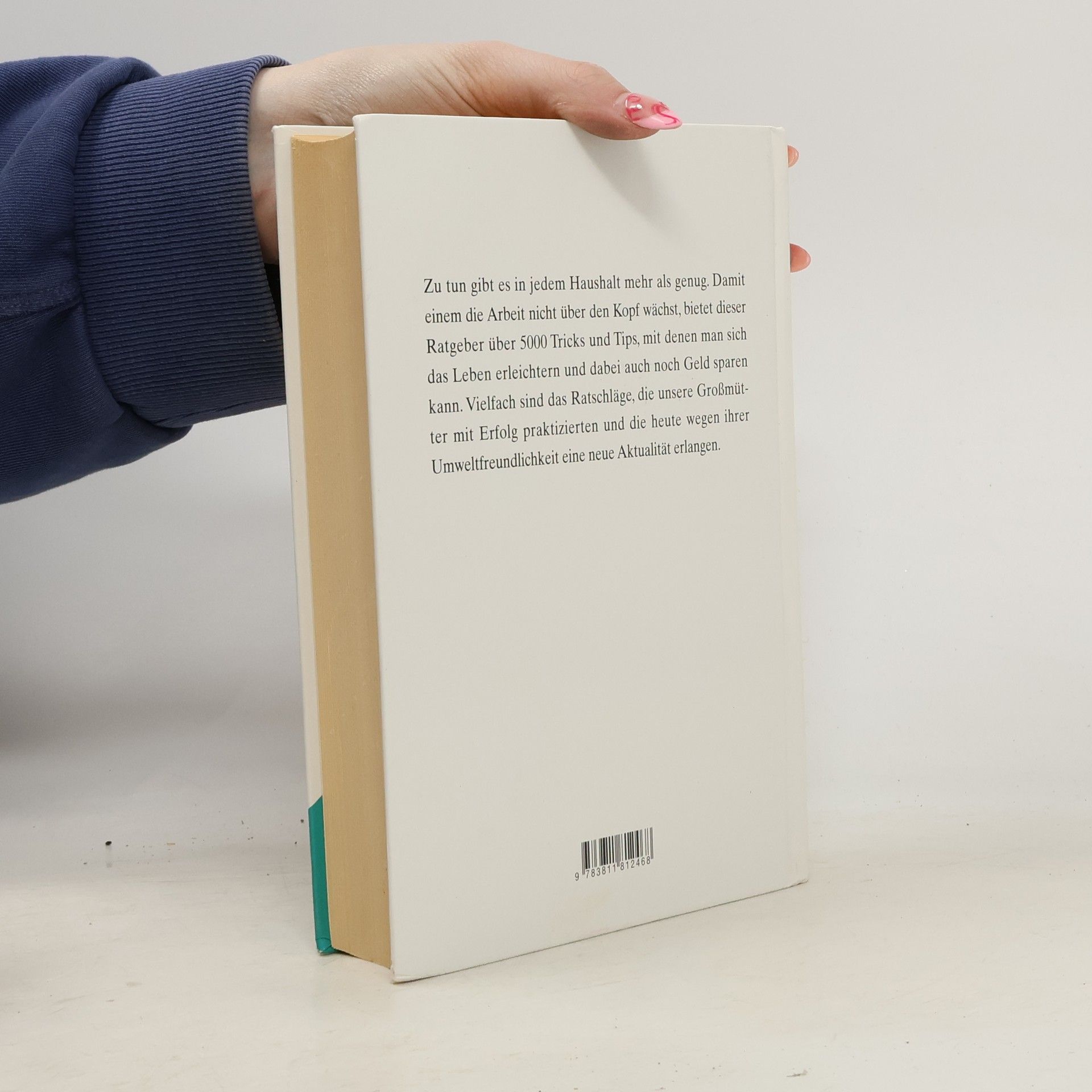 Collectif d'auteurs Das Grosse Buch der Haushaltstips