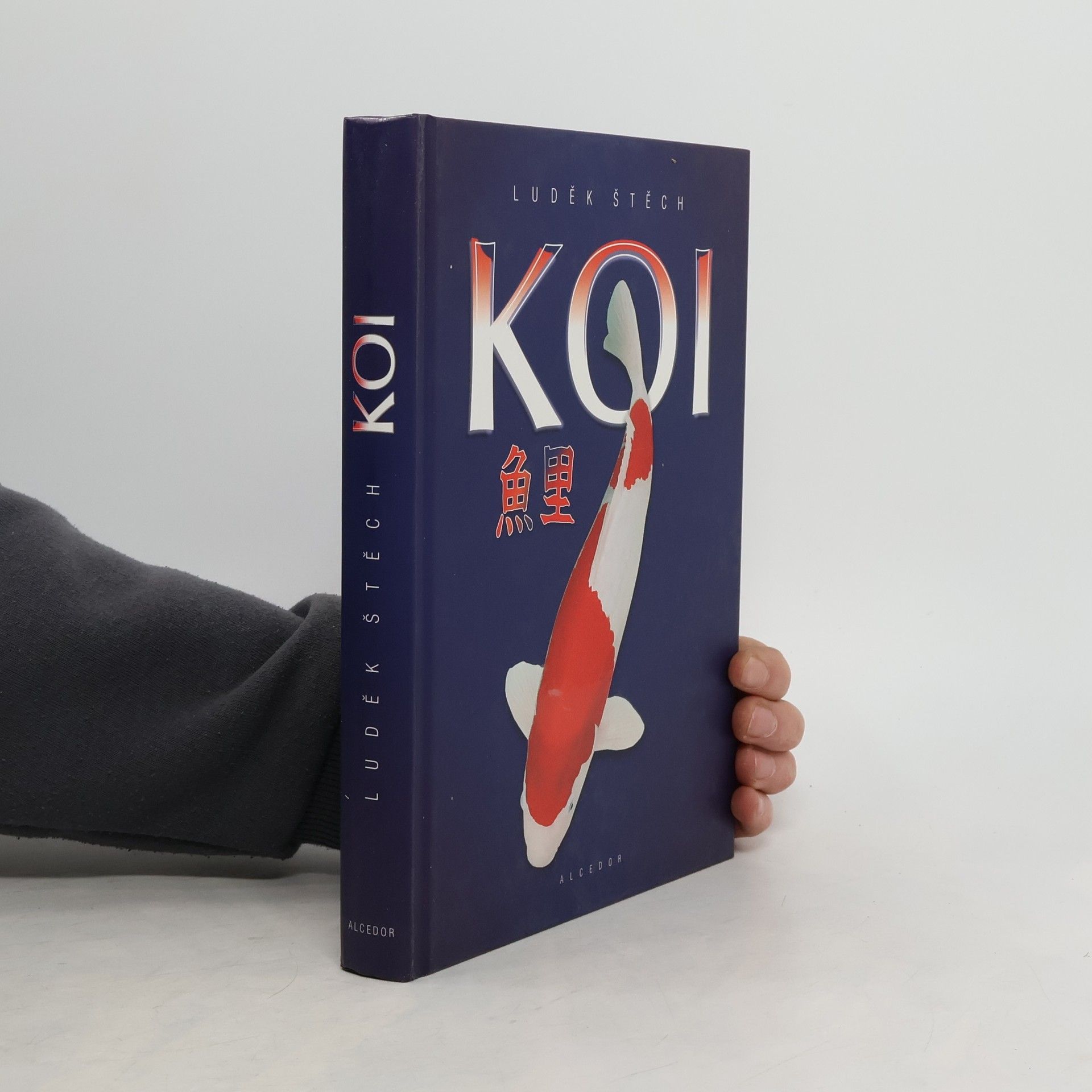 Luděk Štěch Koi