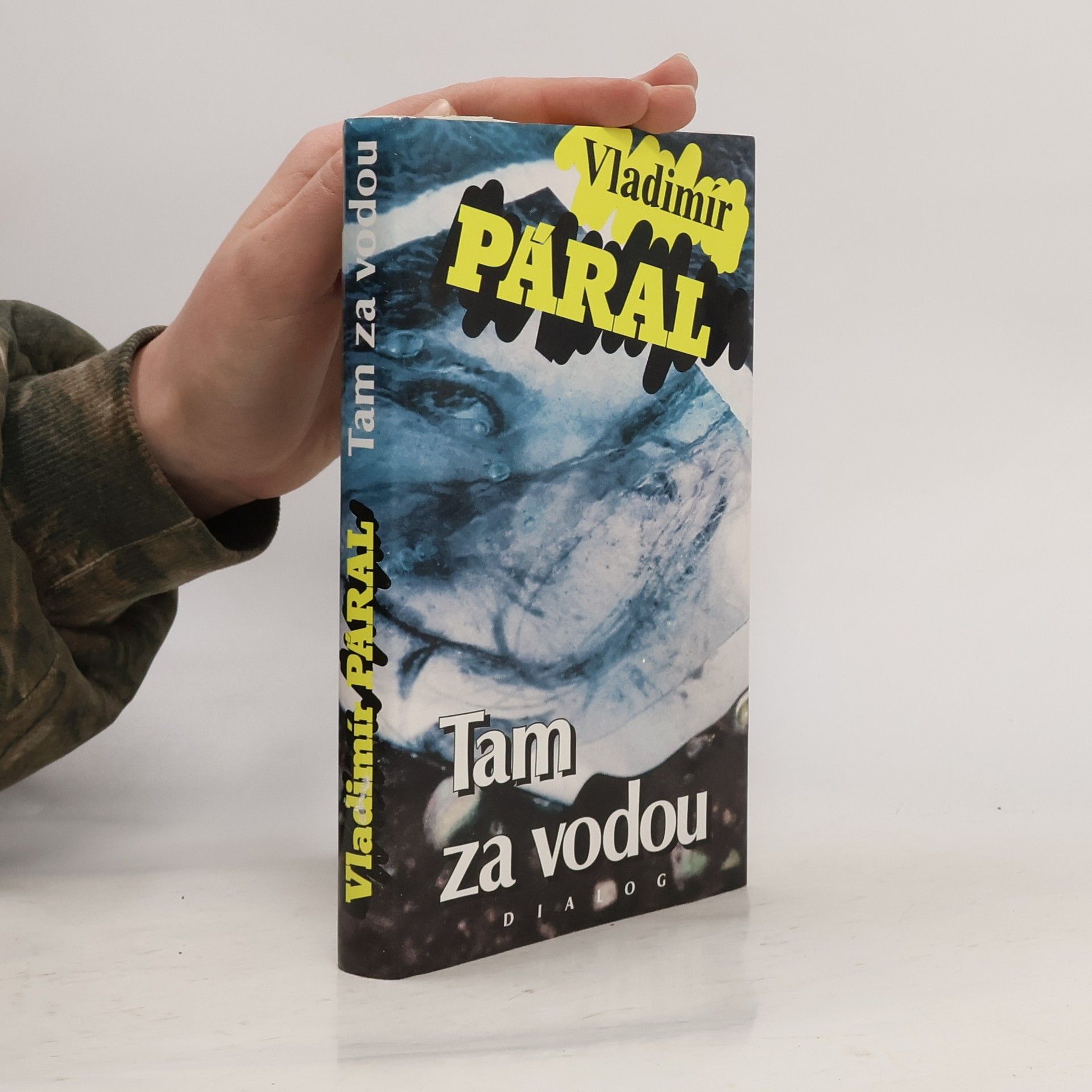 Vladimír Páral Tam za vodou
