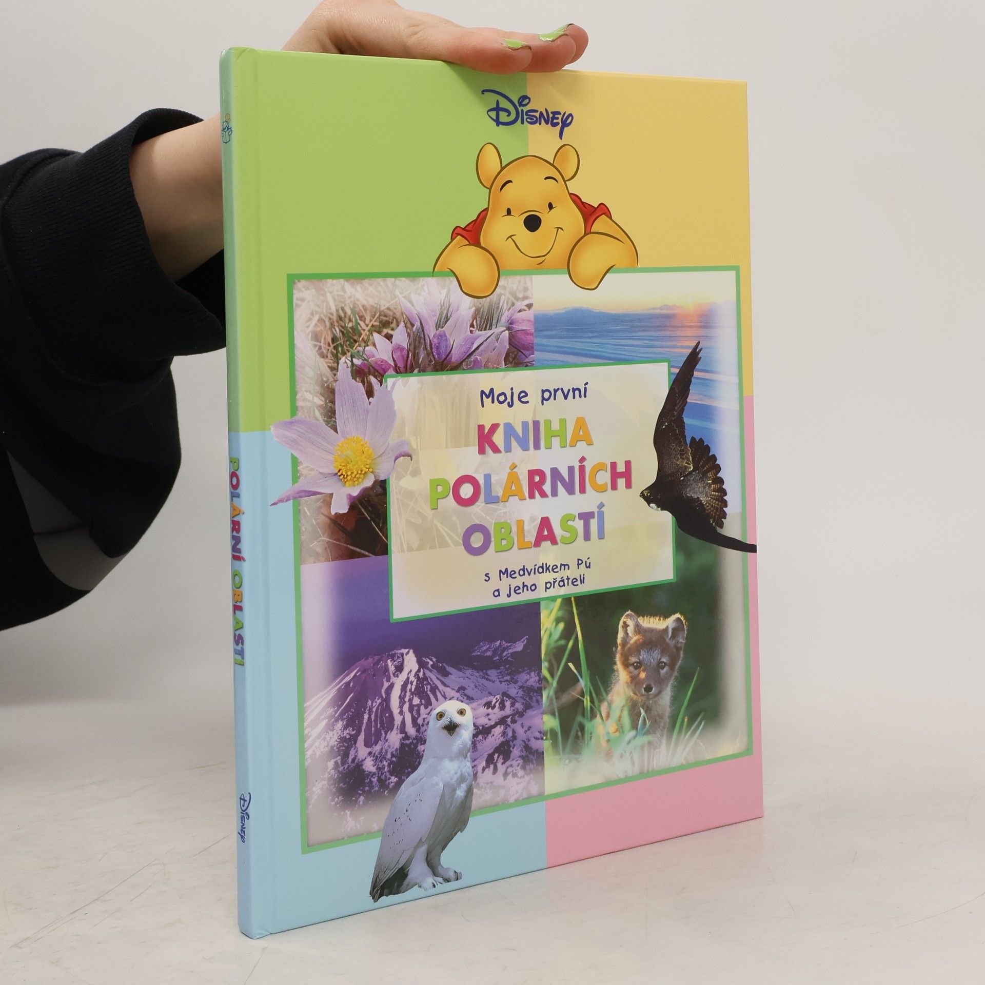 Moje první kniha polárních oblastí s Medvídkem Pú a jeho přáteli