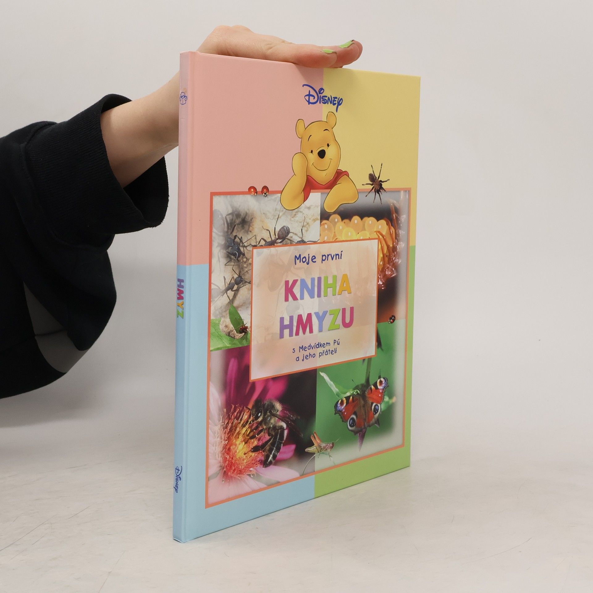 Walt Disney Moje první kniha hmyzu s Medvídkem Pú a jeho přáteli