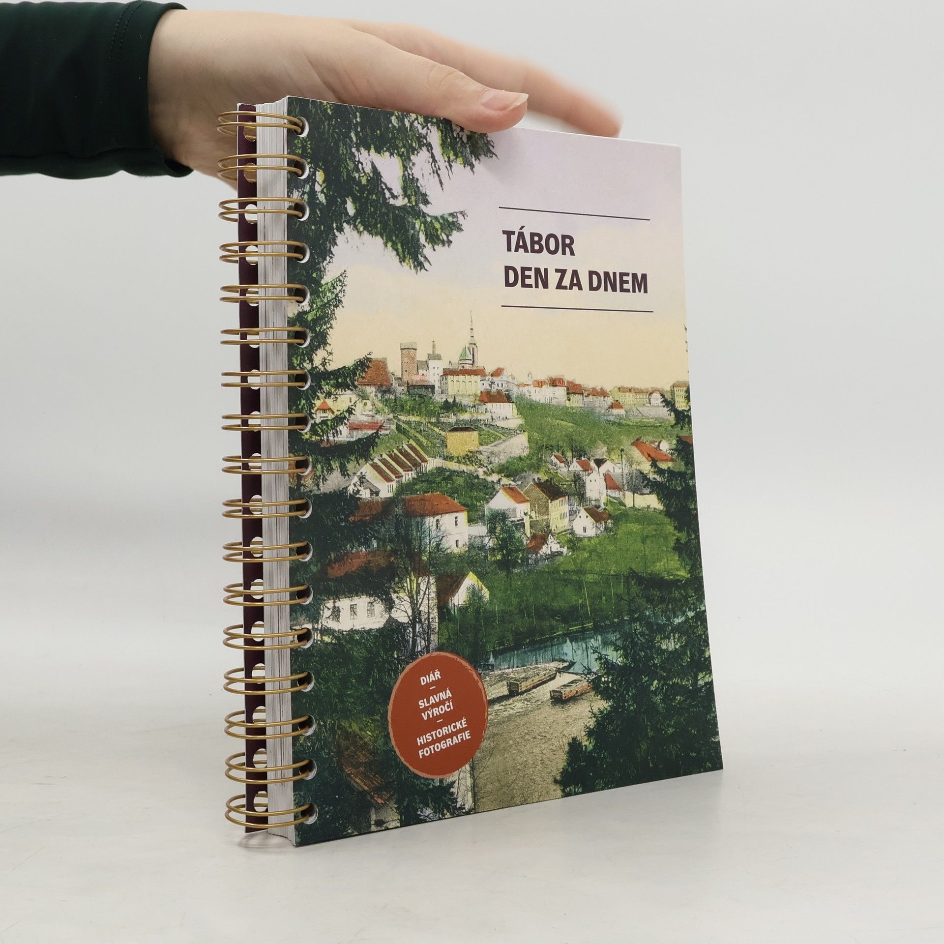 Milada Prokopová Tábor den za dnem