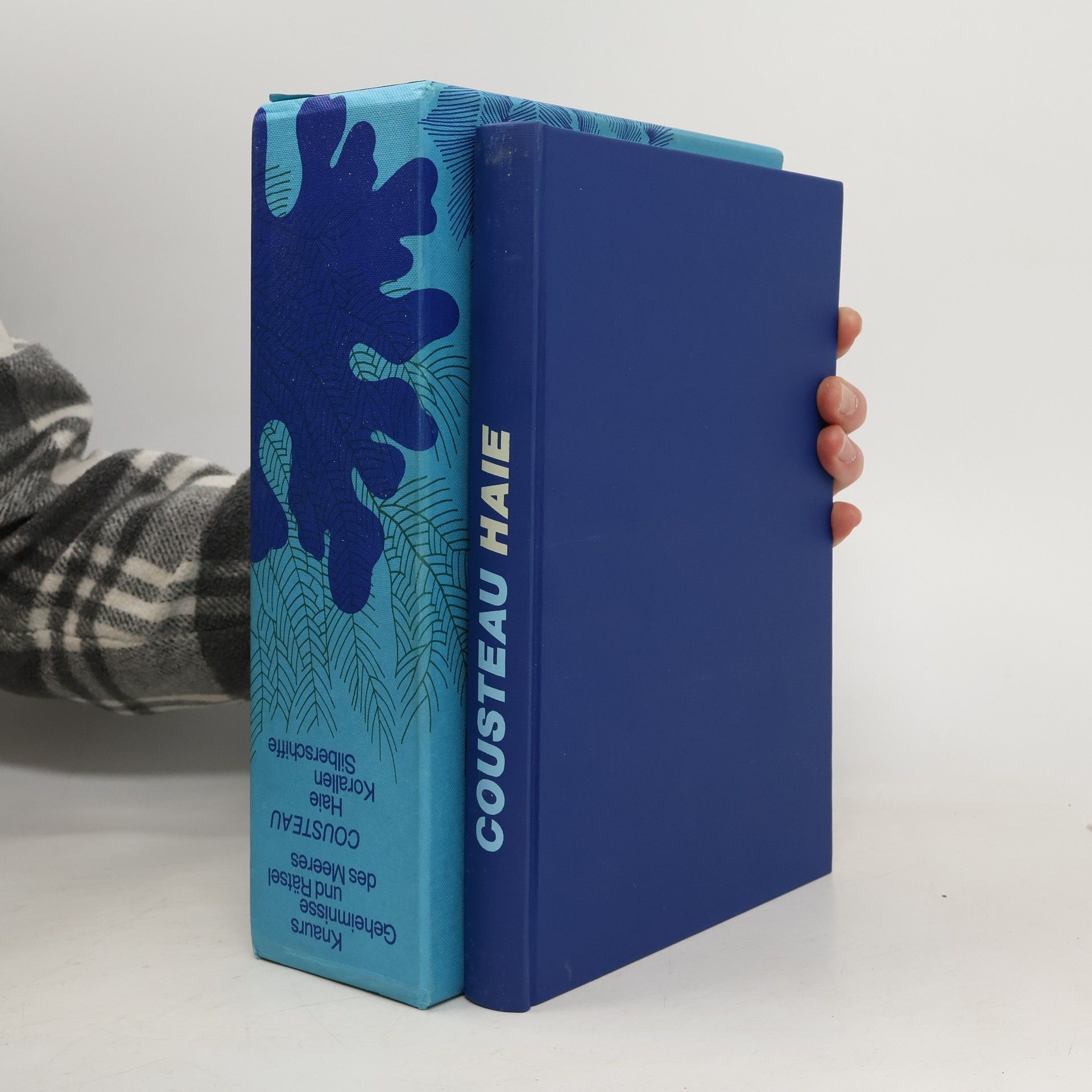 Jacques Yves Cousteau Haie. Korallen. Silberschiffe