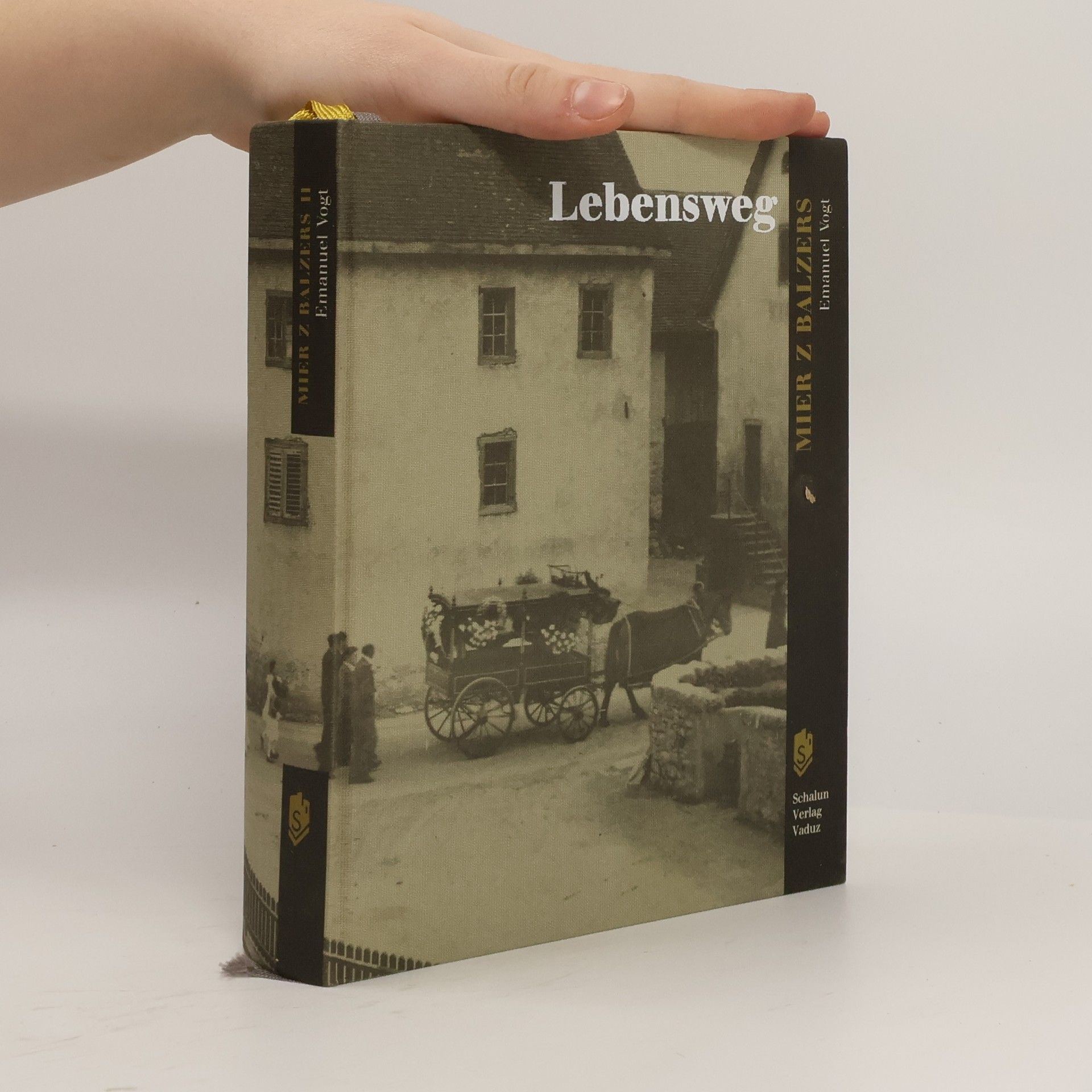 Emanuel Vogt Lebensweg