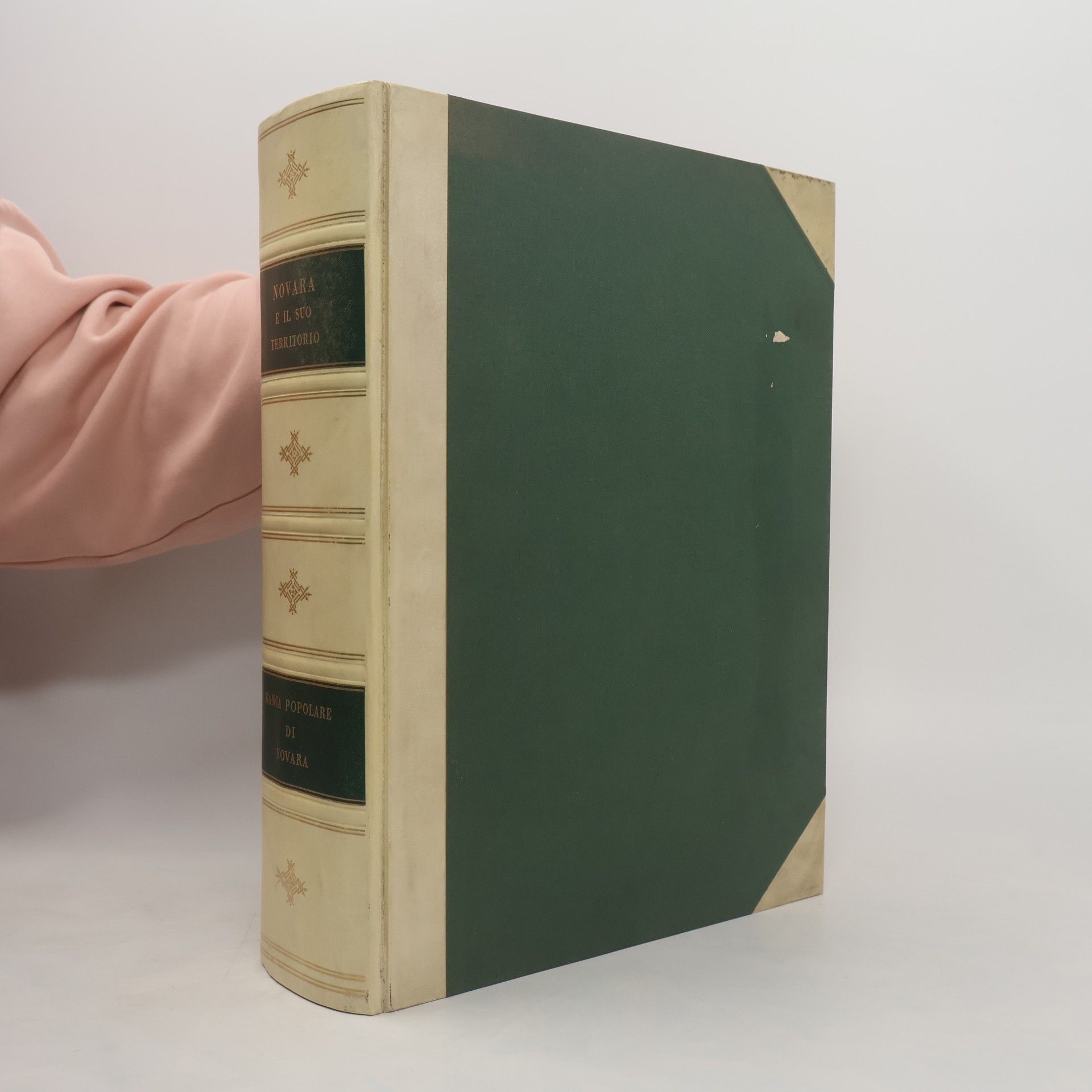 AA.VV. Novara e il suo territorio