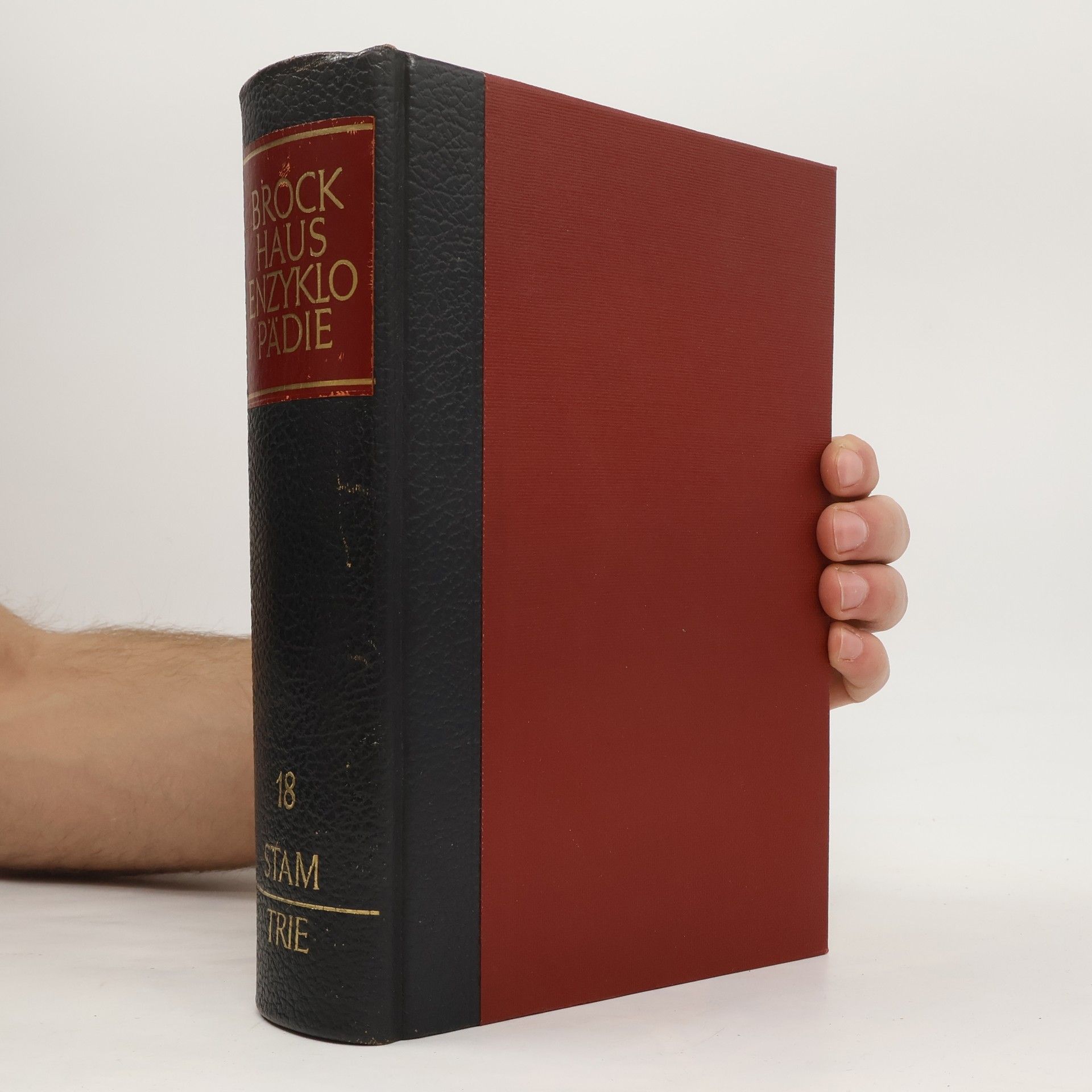 Auteurscollectief Brockhaus Enzyklopädie 18. Stam-Trie