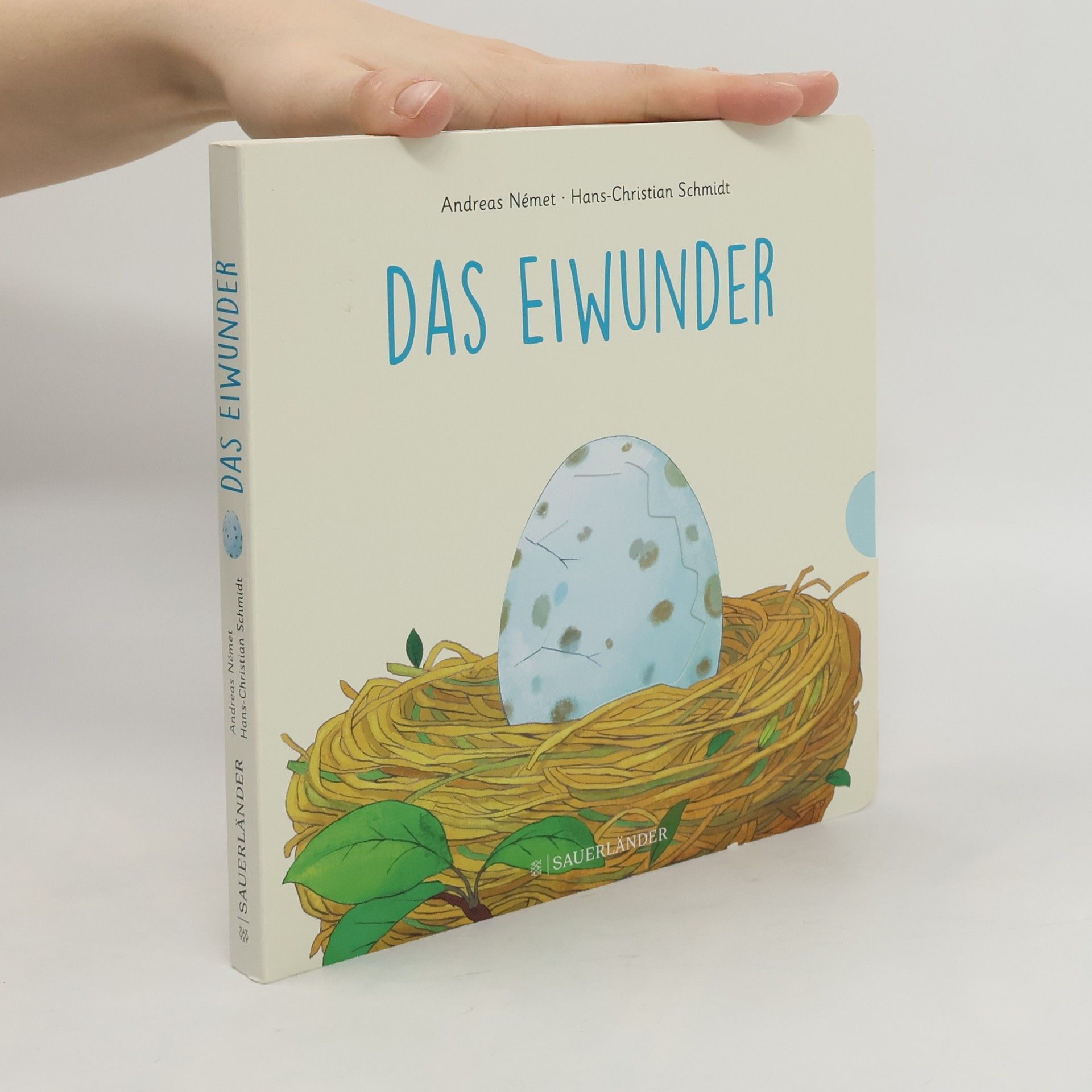 Andreas Német Das Eiwunder