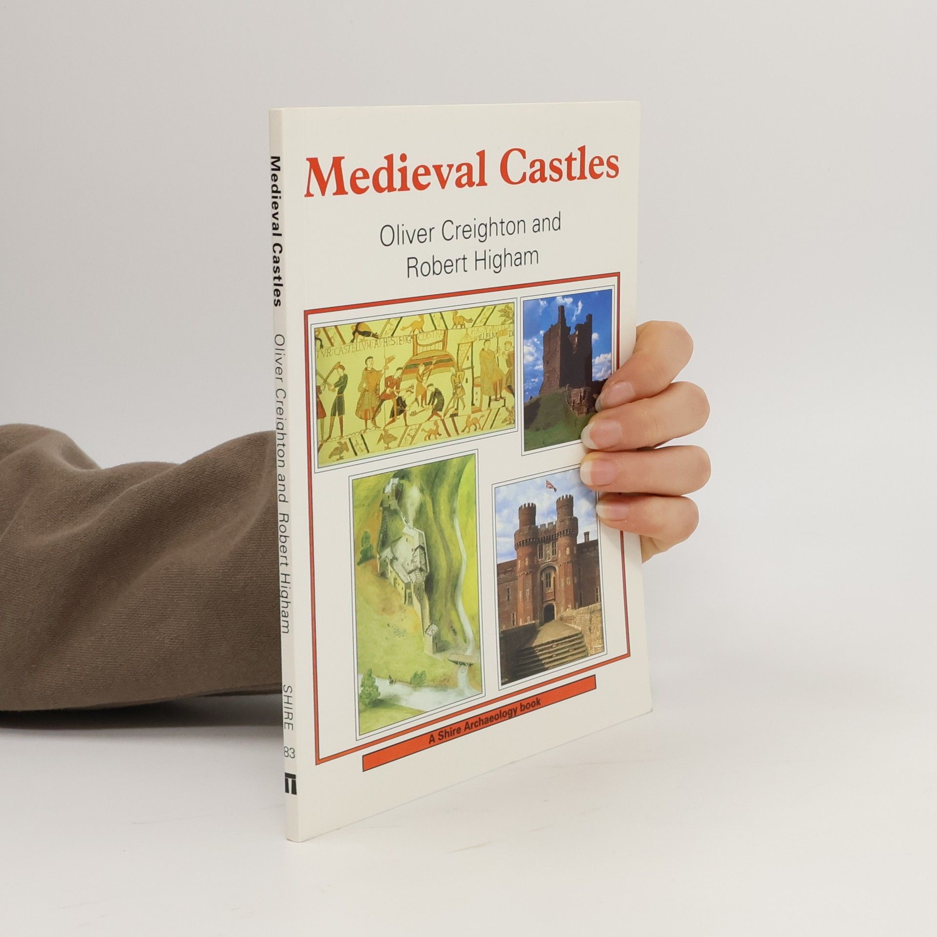 Oliver Creighton Medieval Castles