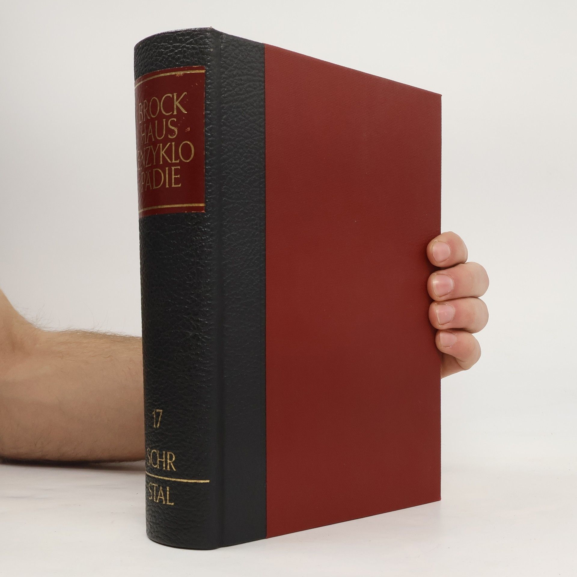 AA.VV. Brockhaus Enzyklopädie 17. Schr-Stal