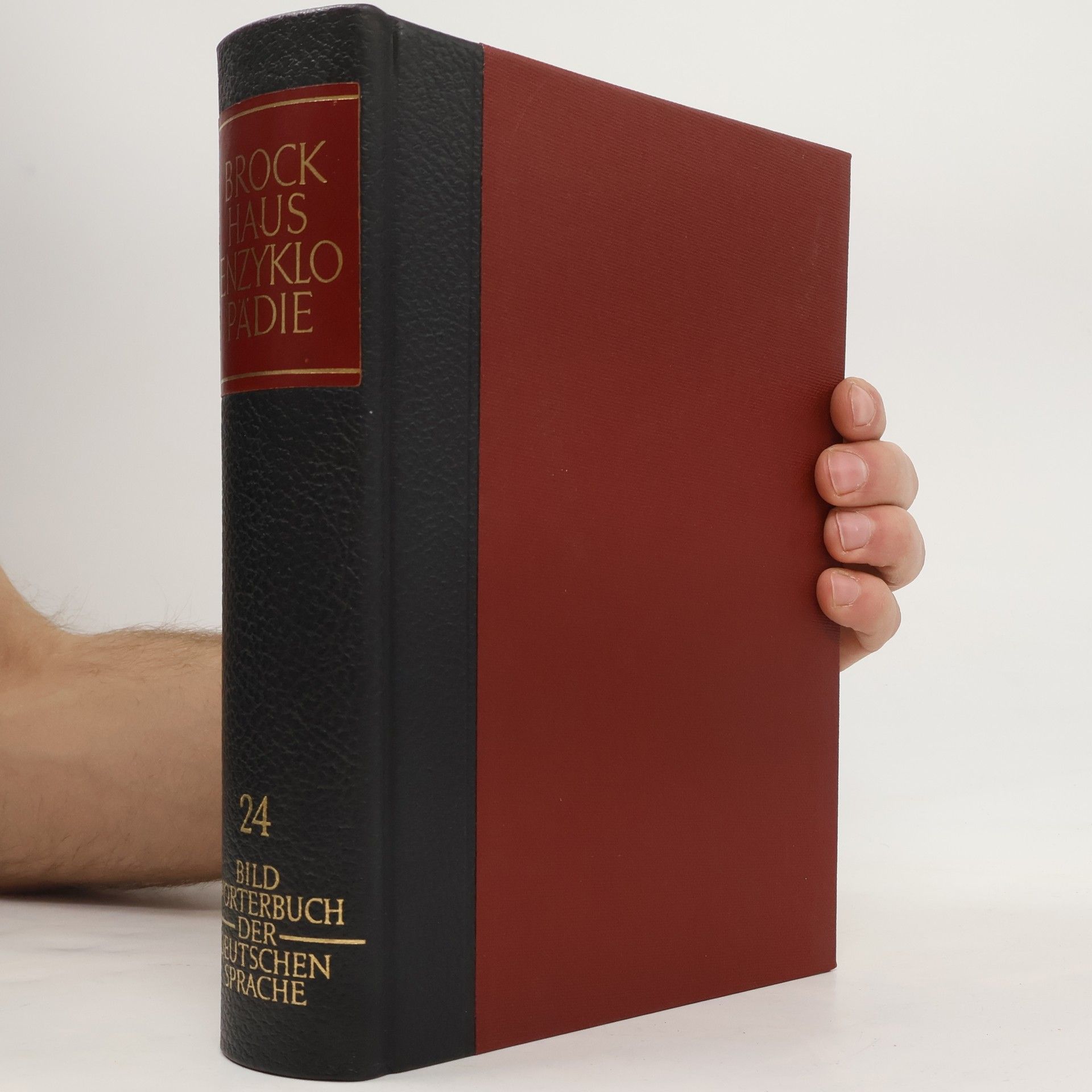 AA.VV. Brockhaus Enzyklopädie 24