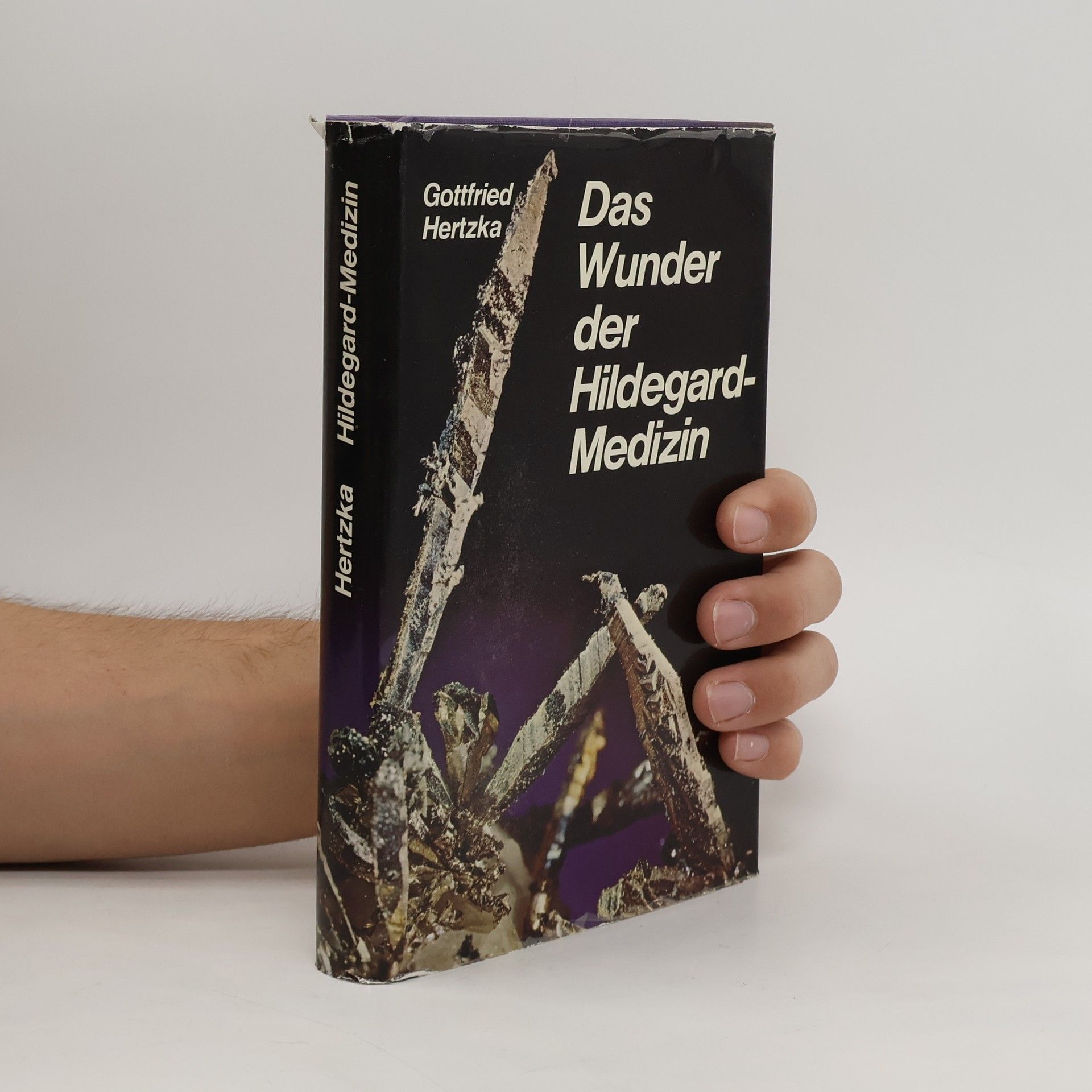 Gottfried Hertzka Das Wunder der Hildegard-Medizin