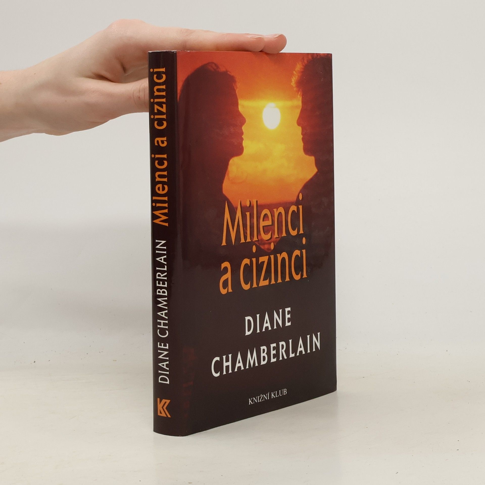 Diane Chamberlain Milenci a cizinci