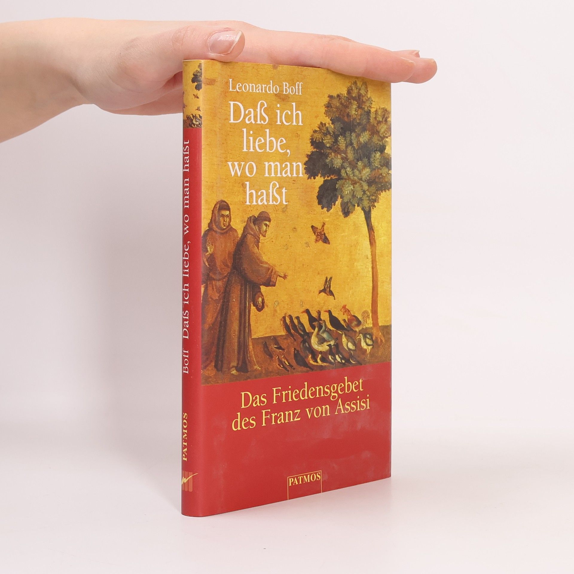 Leonardo Boff Daß ich liebe, wo man haßt