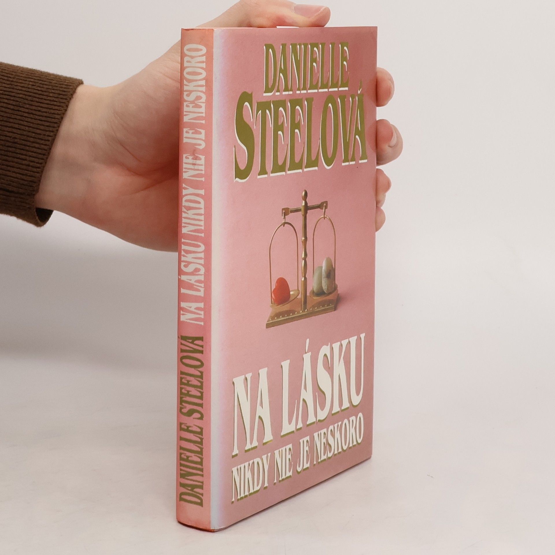 Danielle Steel Na lásku nikdy nie je neskoro