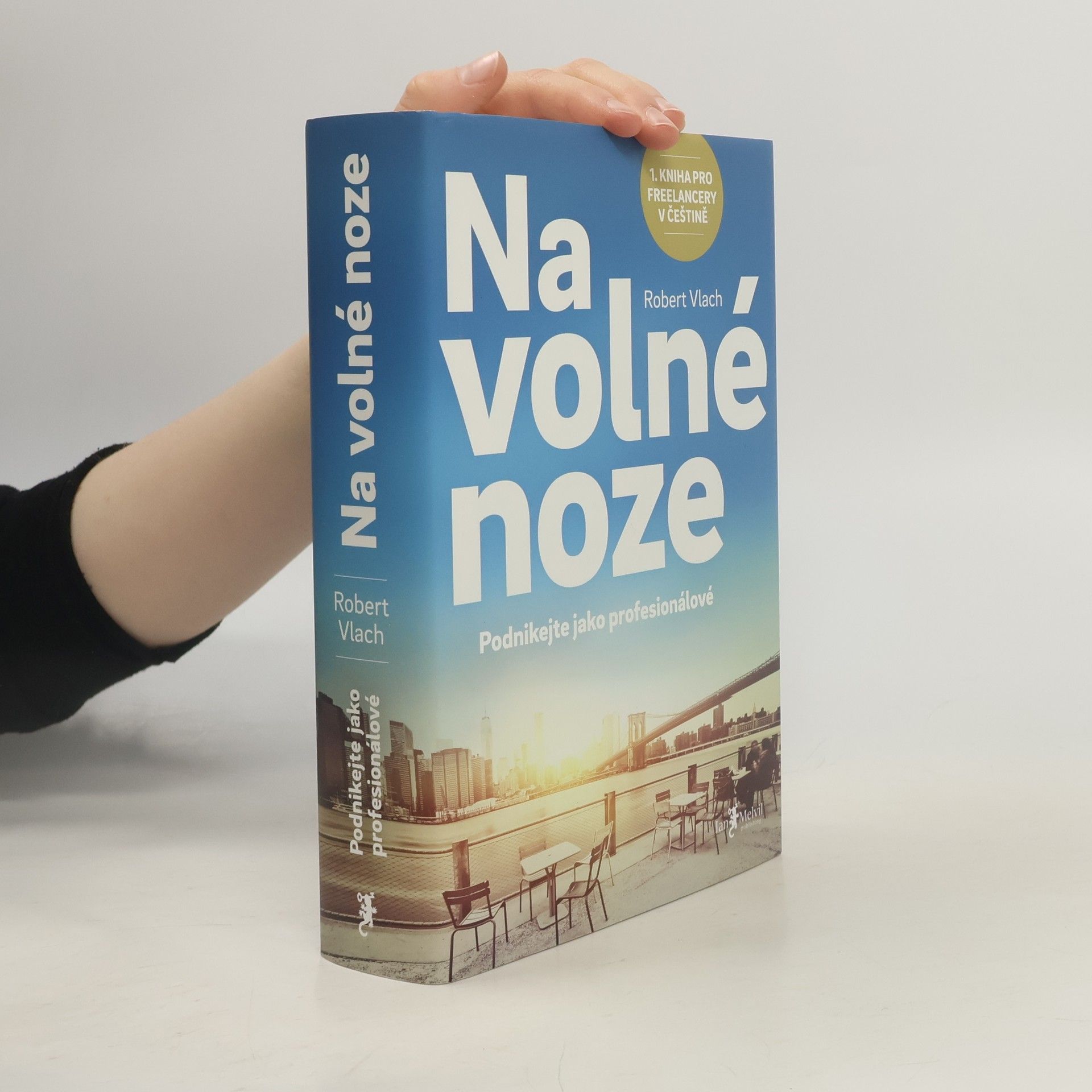 Robert Vlach Na volné noze