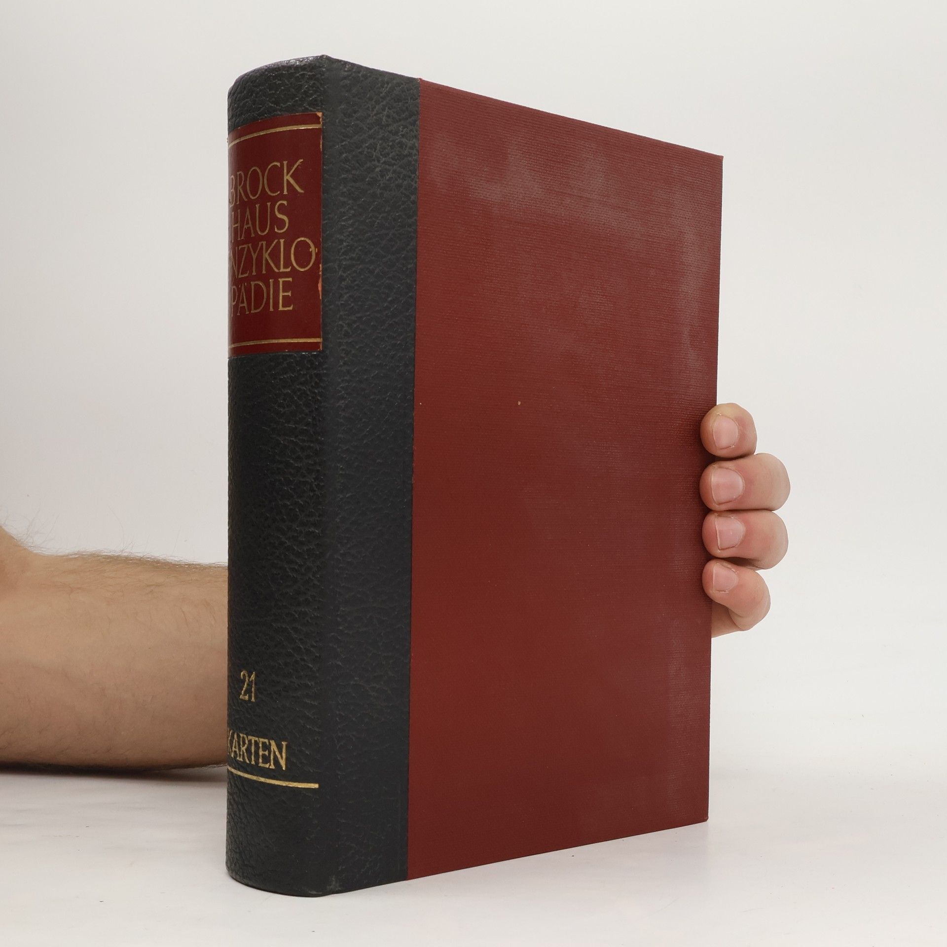 AA.VV. Brockhaus-Enzyklopädie. Band 21: Karten