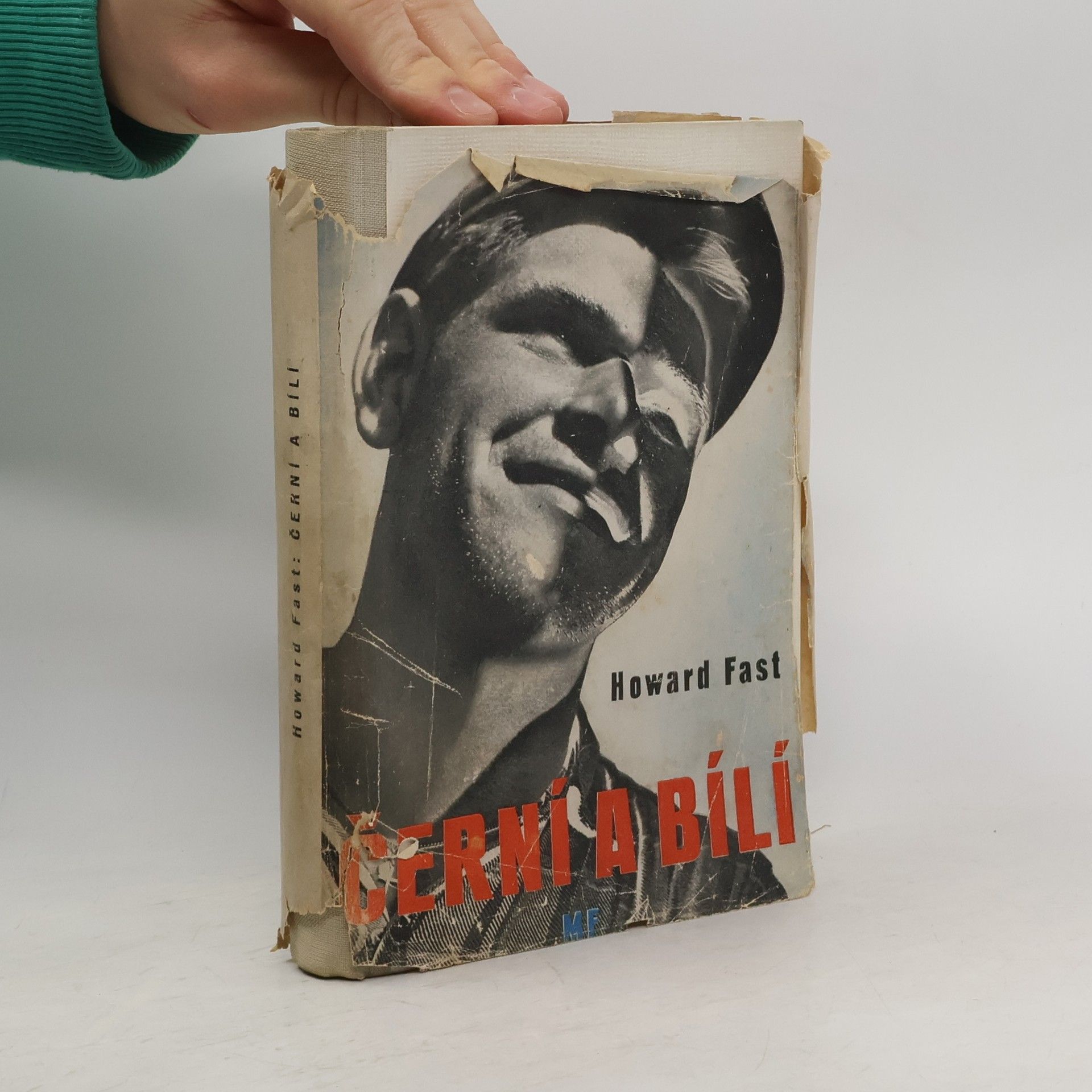 Howard Fast Černí a bílí