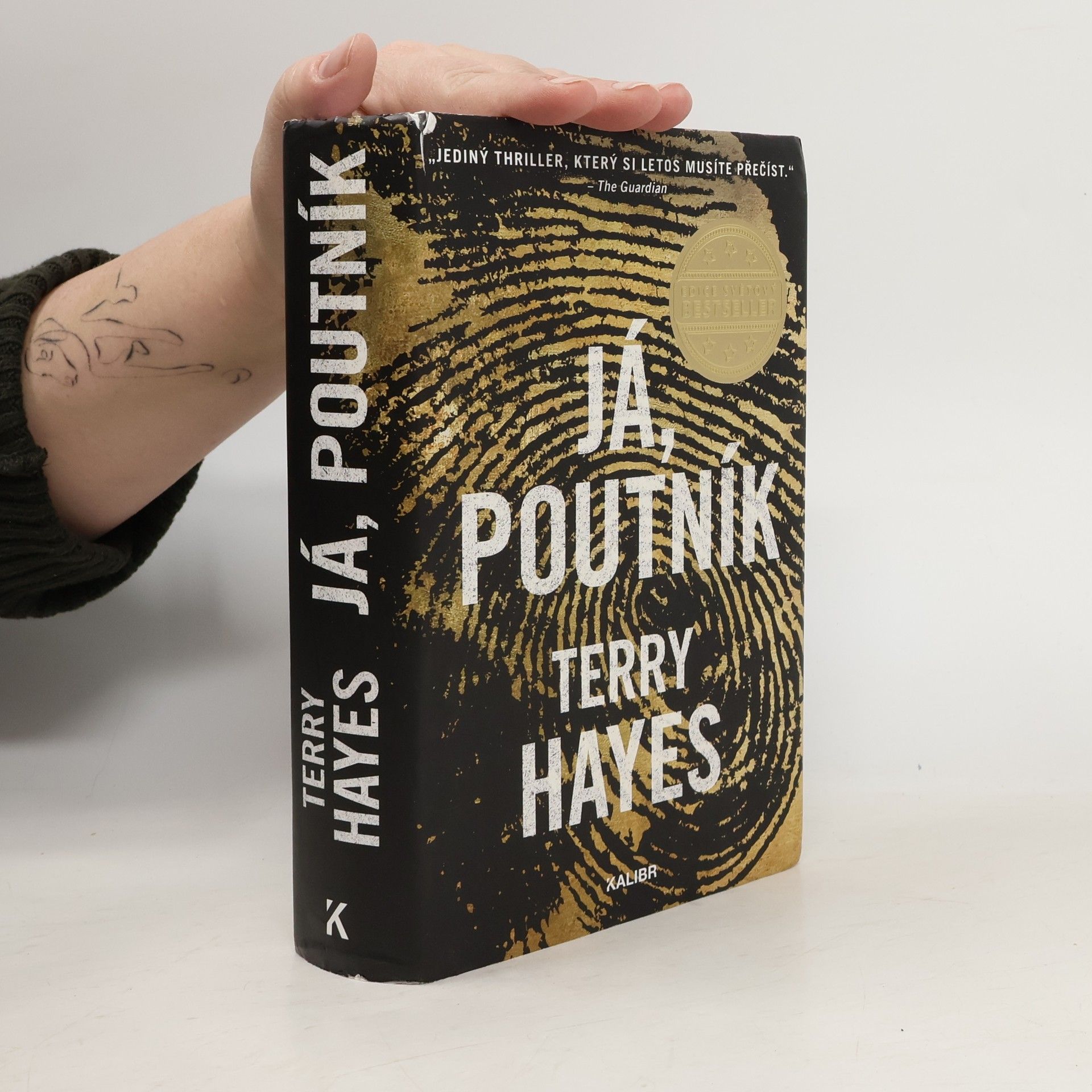 Terry Hayes Já, Poutník