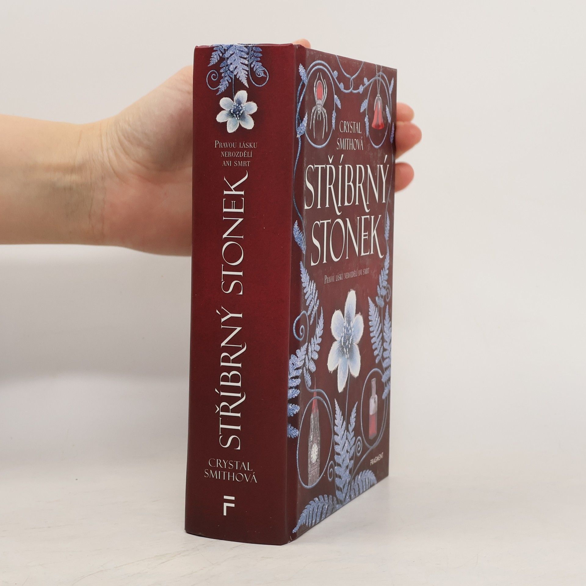 Stříbrný stonek : pravou lásku nerozdělí ani smrt