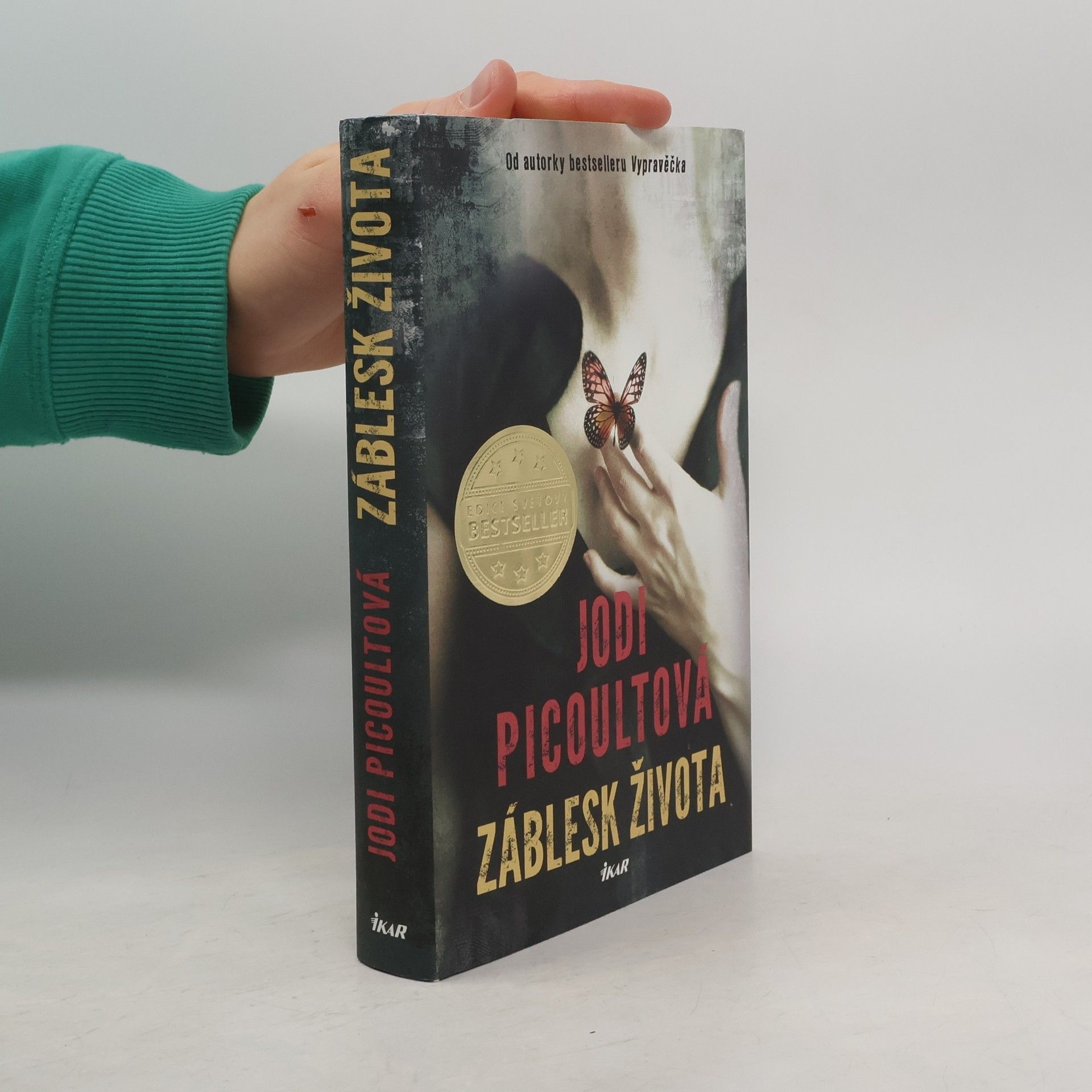 Jodi Picoult Záblesk života