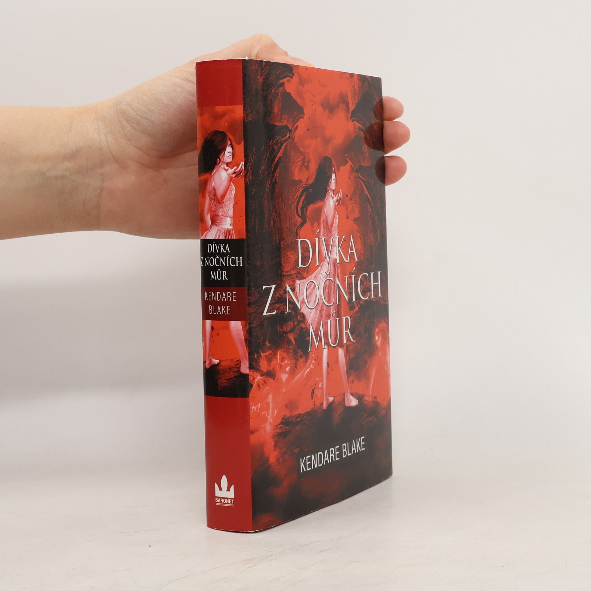 Kendare Blake Dívka z nočních můr