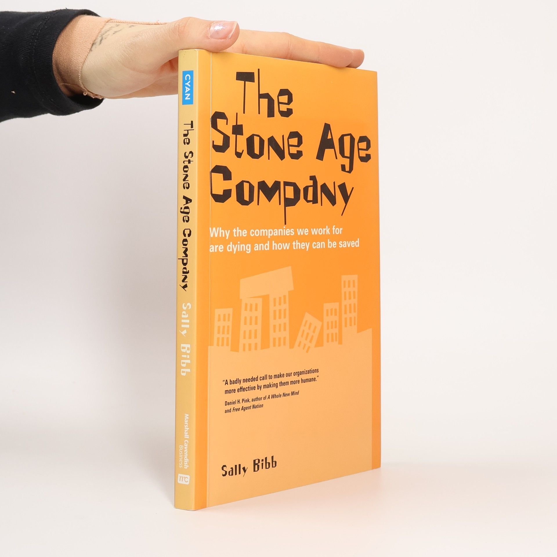 Truth About Business: The Stone Age Company