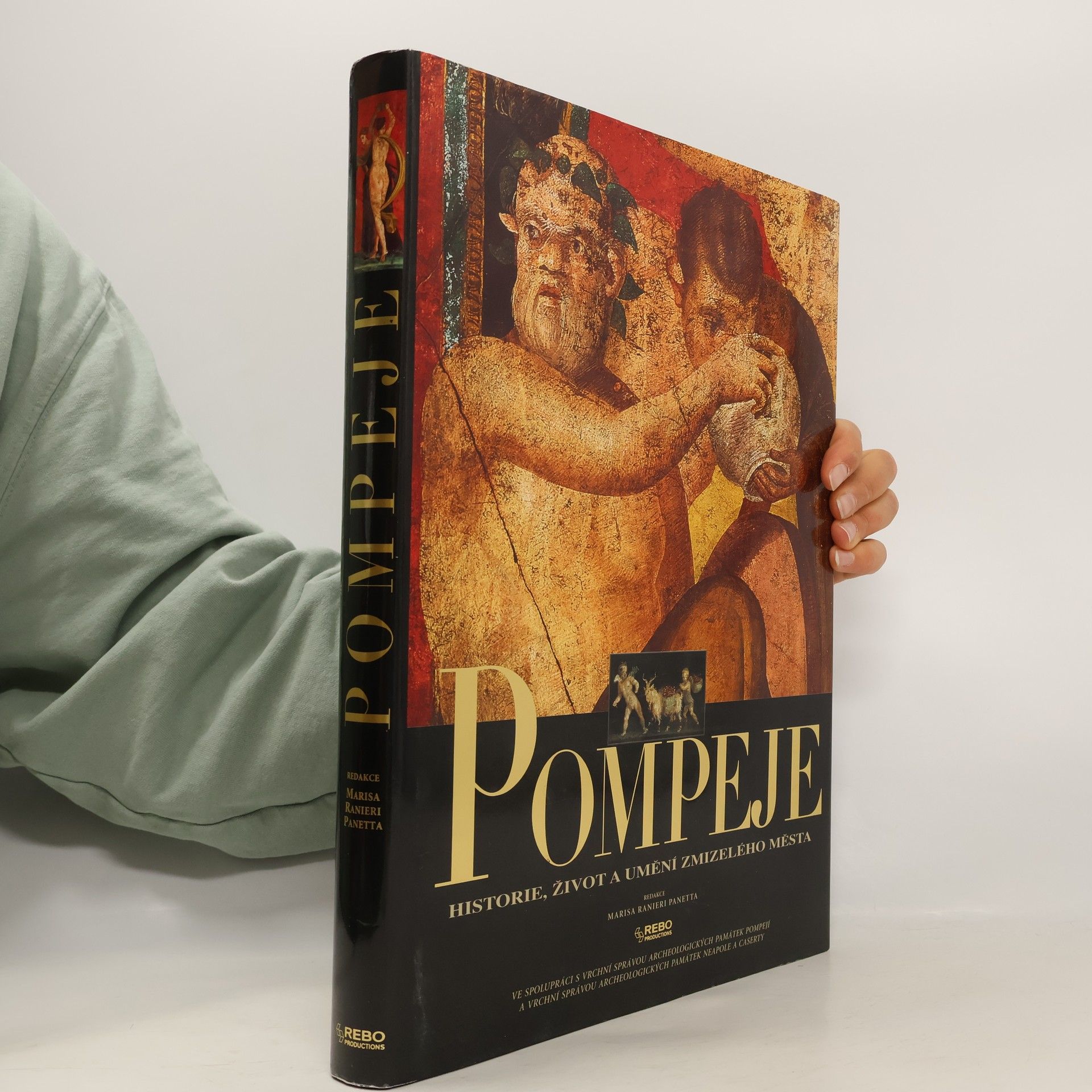 Marisa Ranieri Panetta Pompeje: Historie, život a umění zmizelého města