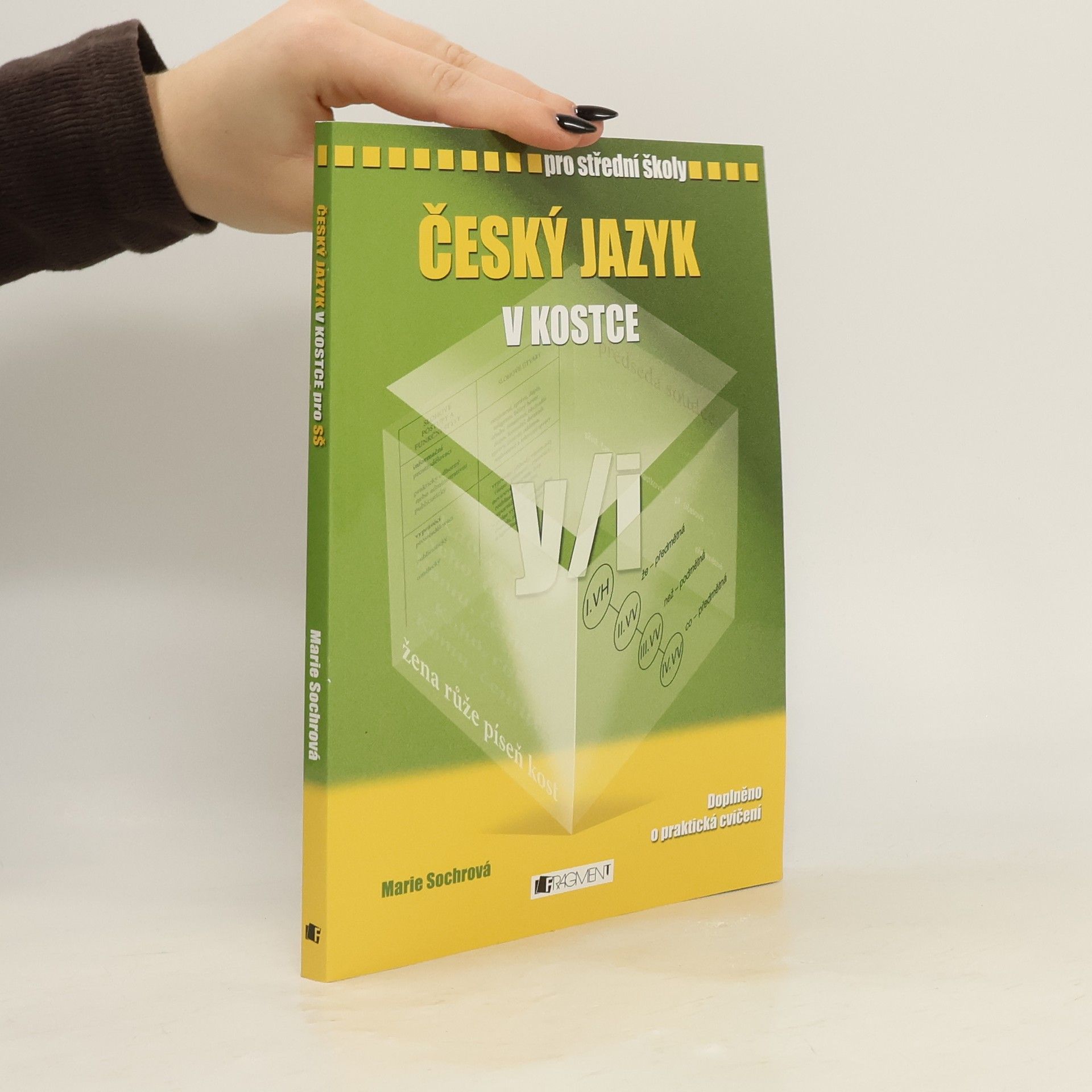 Marie Sochrová Český jazyk v kostce : pro střední školy