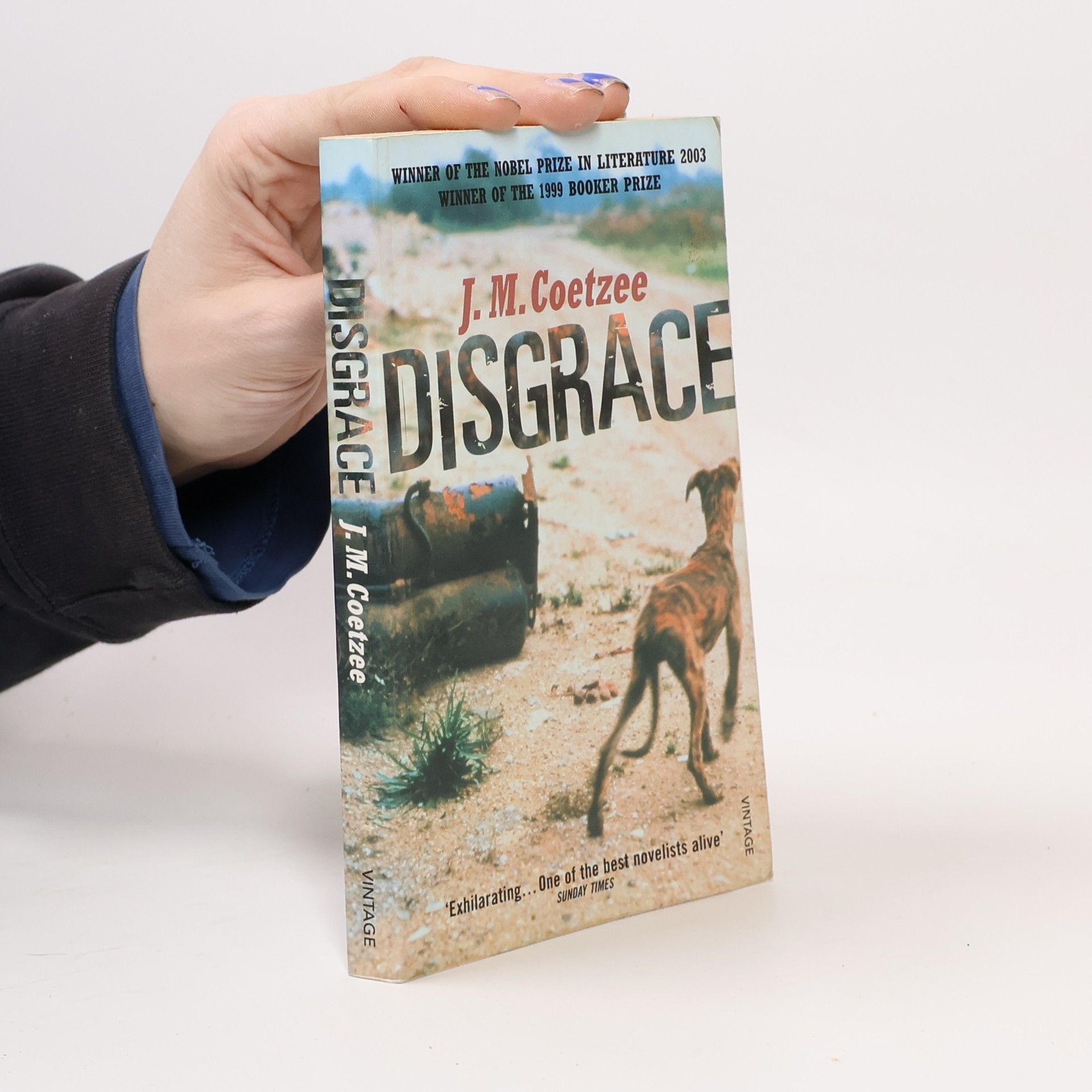 J. M. Coetzee Disgrace