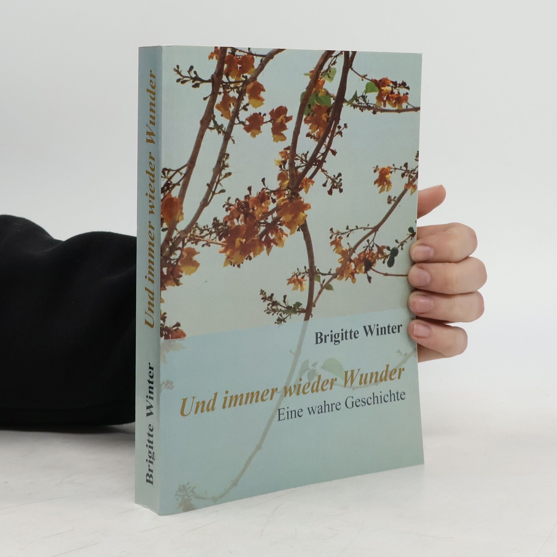 Brigitte Winter Und immer wieder Wunder