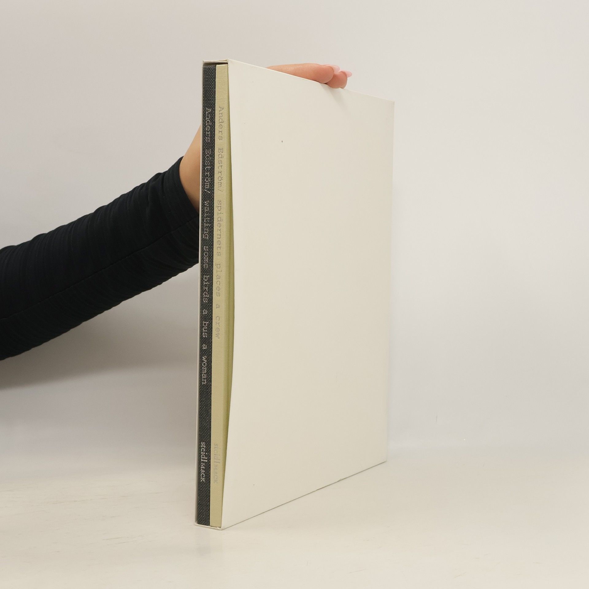 Anders Edström Waiting Some Birds a Bus a Woman. Spidernets Places a Crew