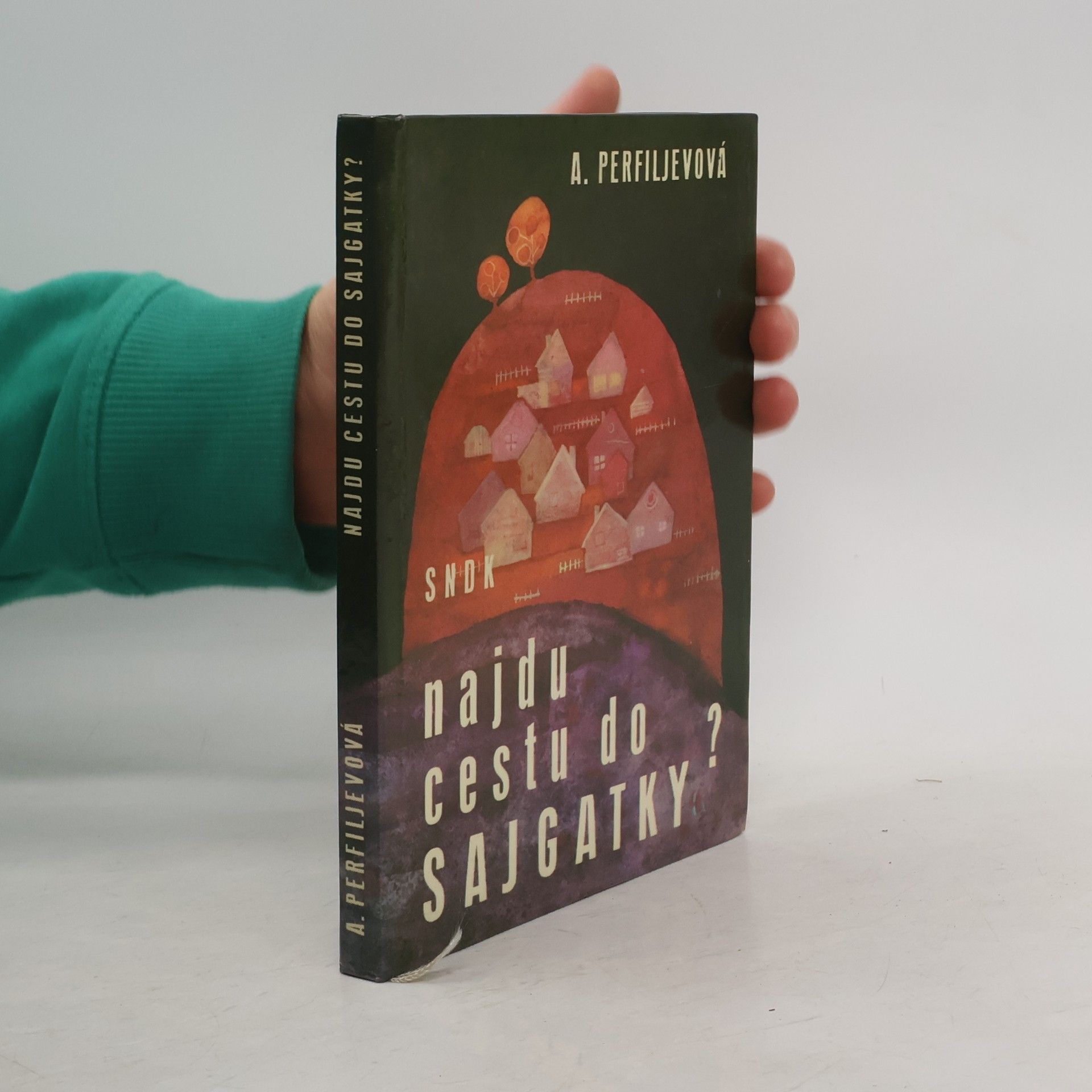 Najdu cestu do Sajgatky?
