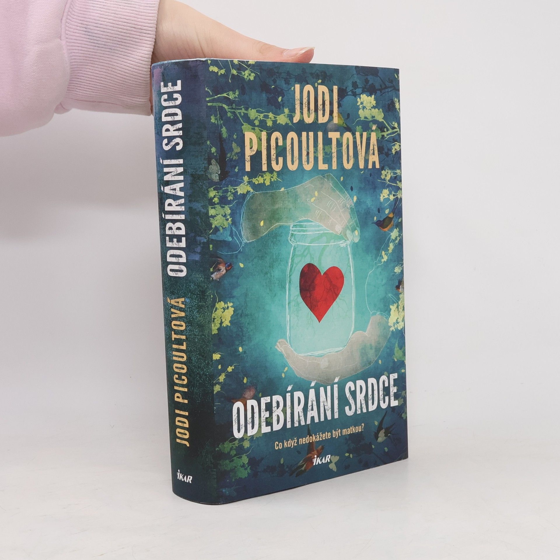 Jodi Picoult Odebírání srdce