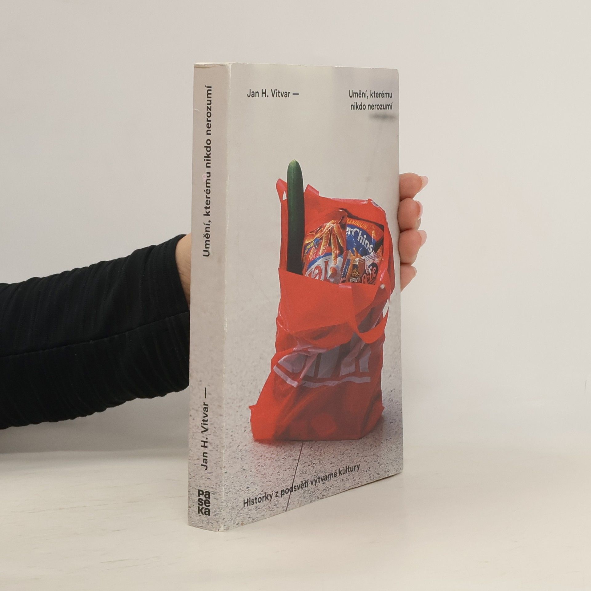 Jan H. Vitvar Umění, kterému nikdo nerozumí : historky z podsvětí výtvarné kultury