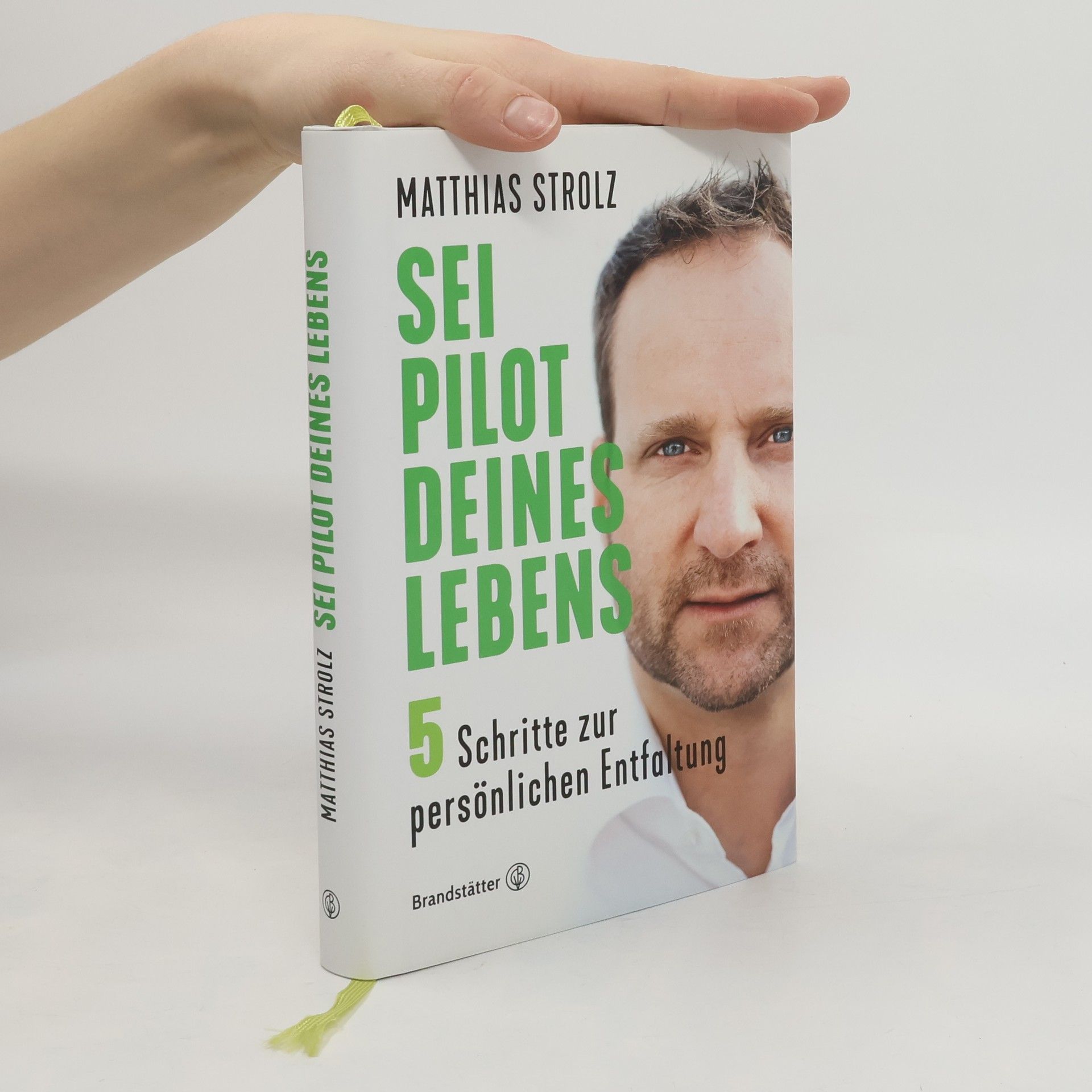 Matthias Strolz Sei Pilot deines Lebens