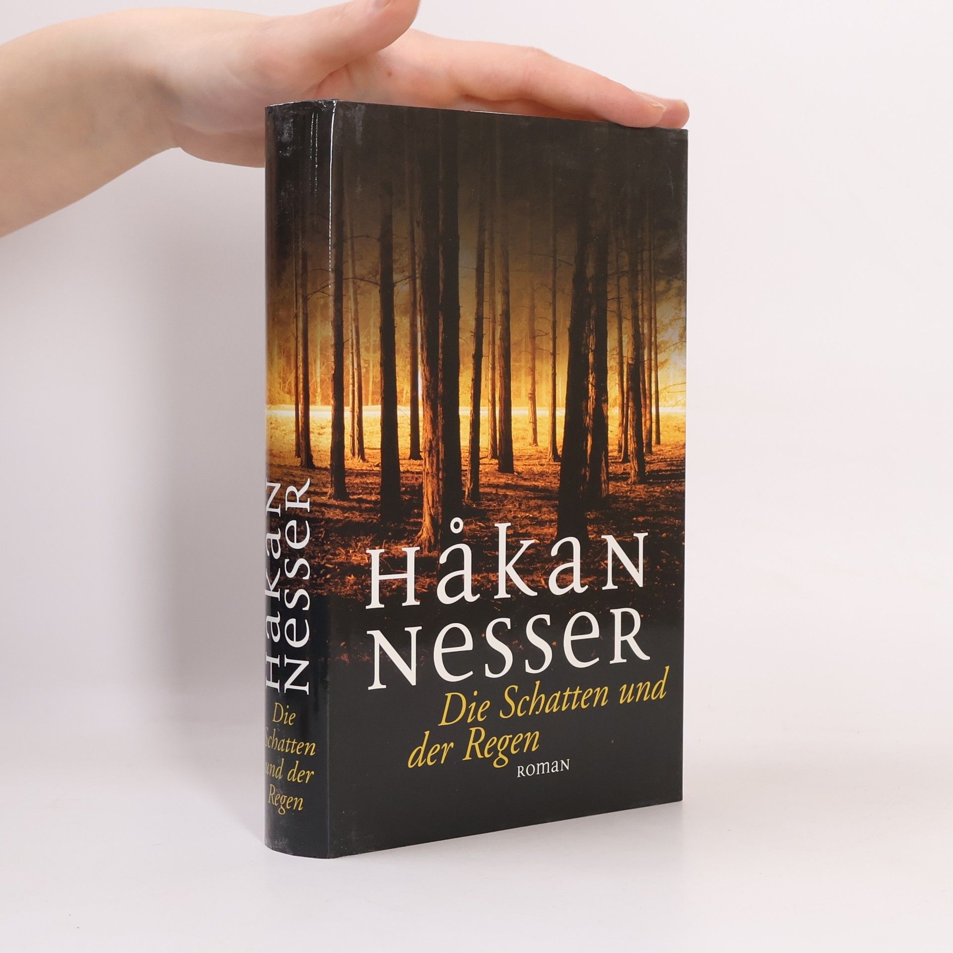 Hakan Nesser Die Schatten und der Regen