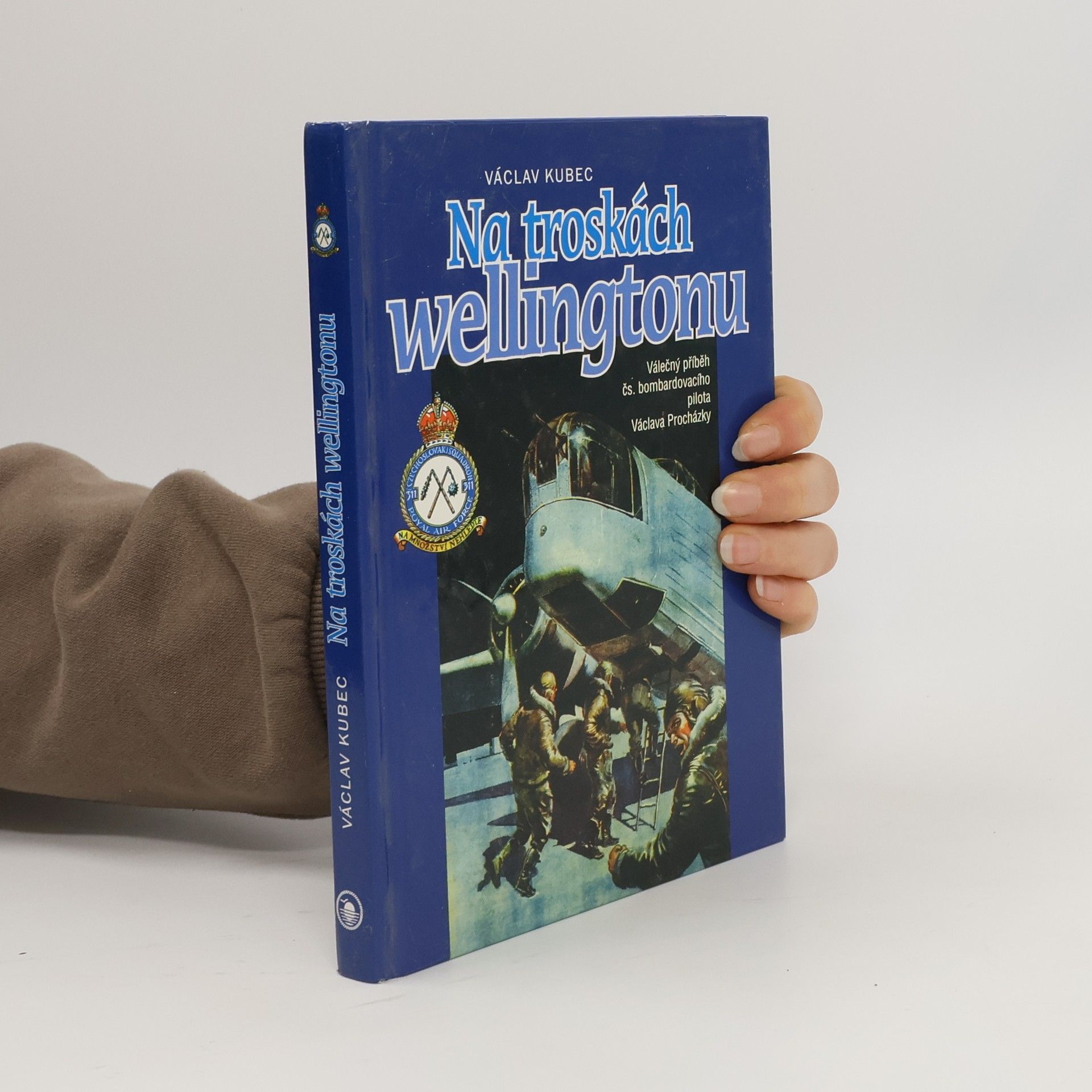 Václav Kubec Na troskách wellingtonu