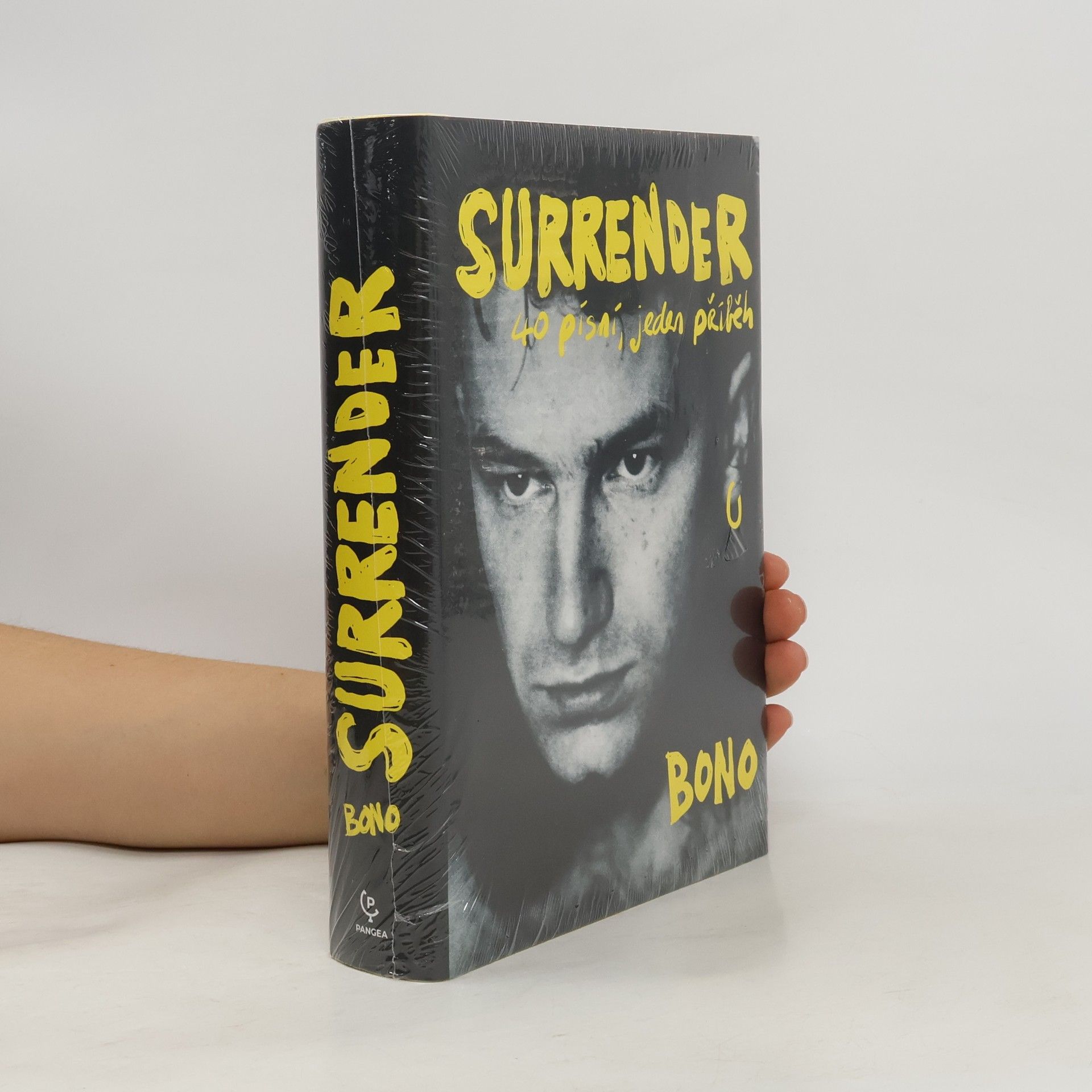 Surrender : 40 písní, jeden příběh